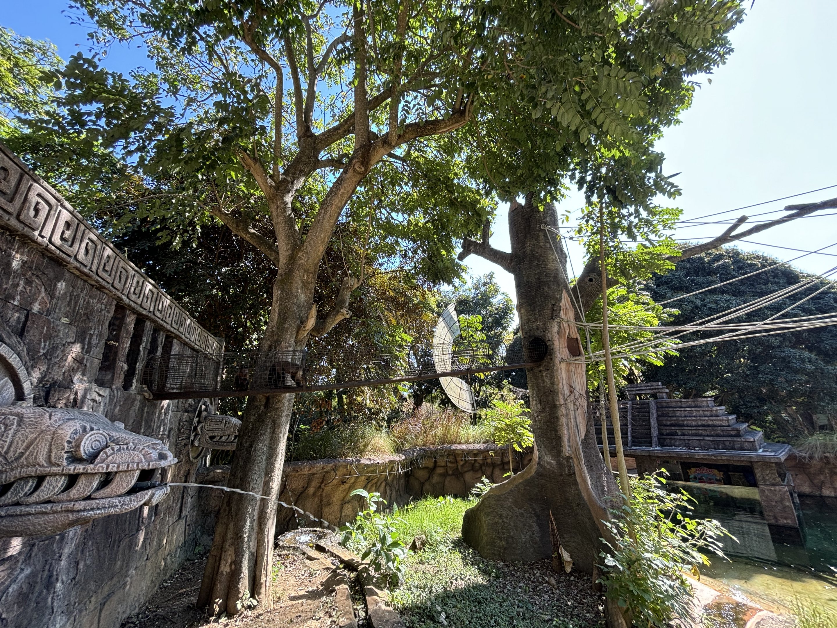 Giant Otter + Tufted Capuchin Exhibits