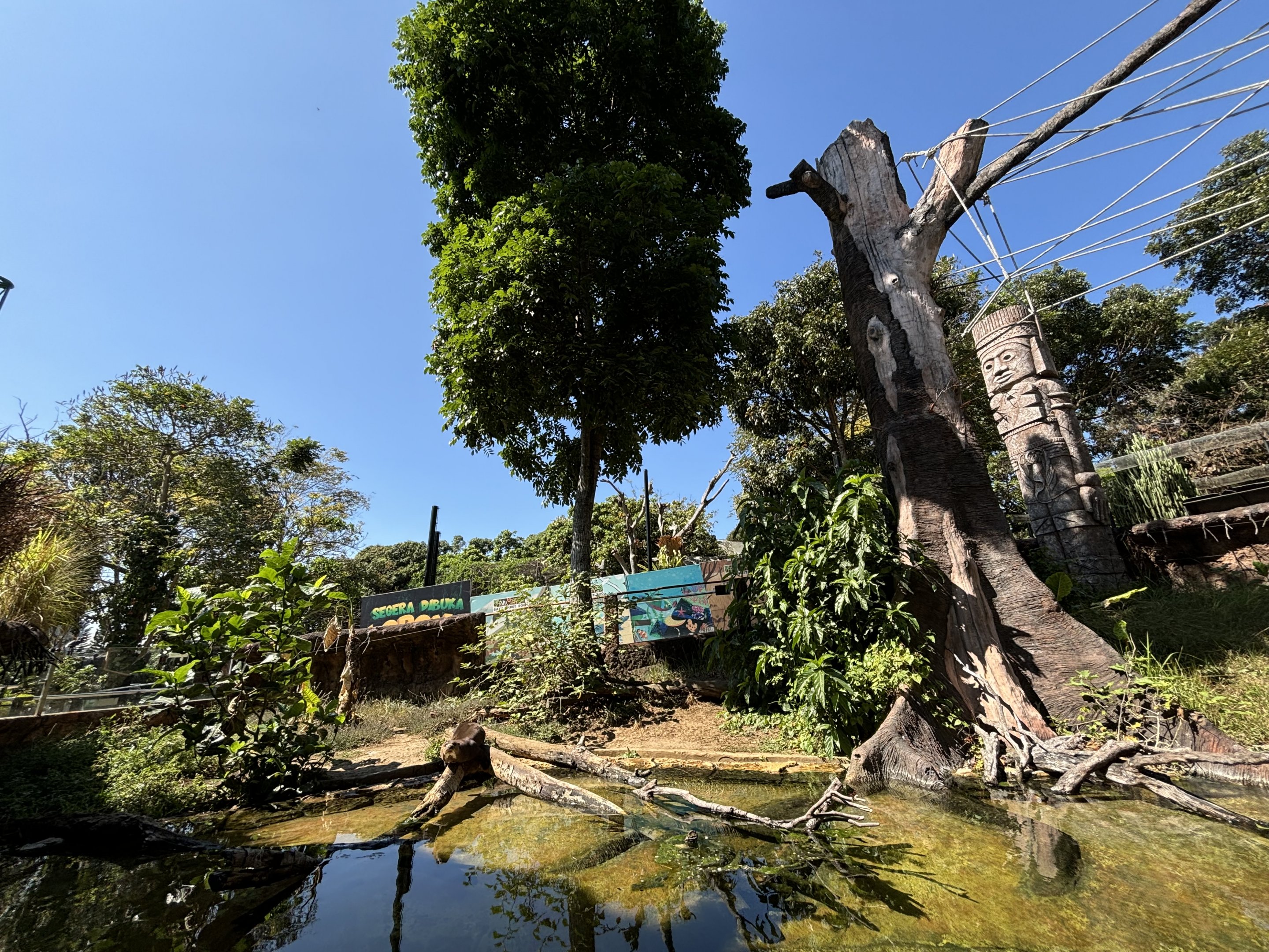 Giant Otter + Tufted Capuchin Exhibits