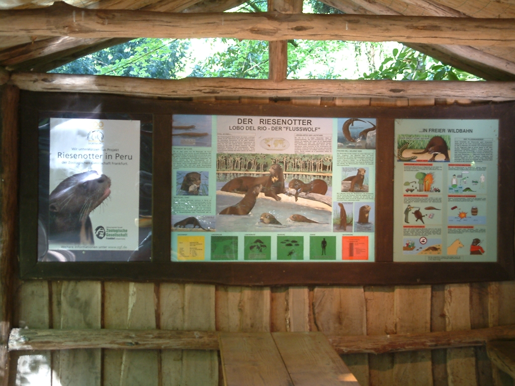 giant otter visitor information