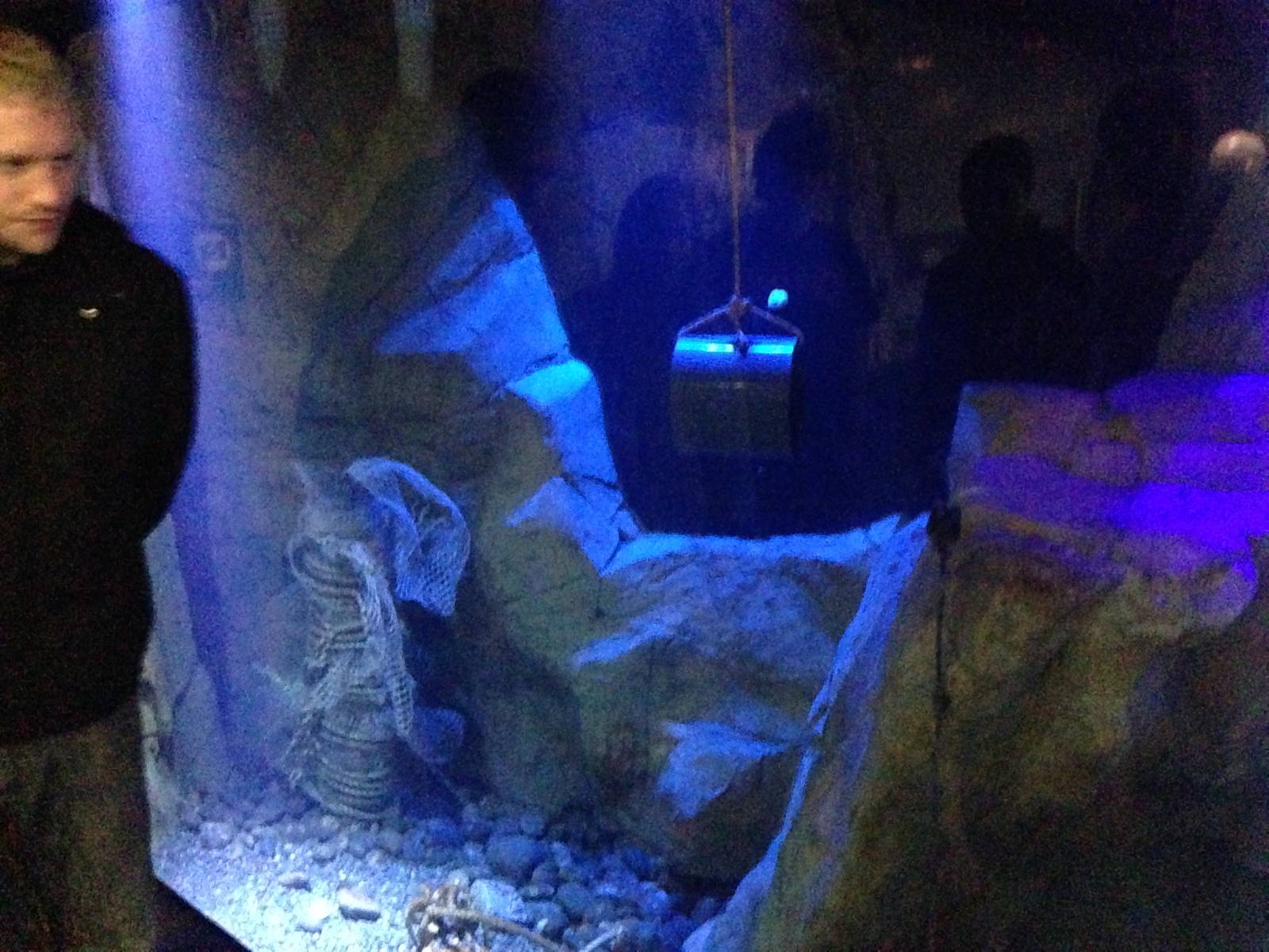 Giant Pacific Octopus Exhibit at Blue Planet Aquarium - 05/10/2013