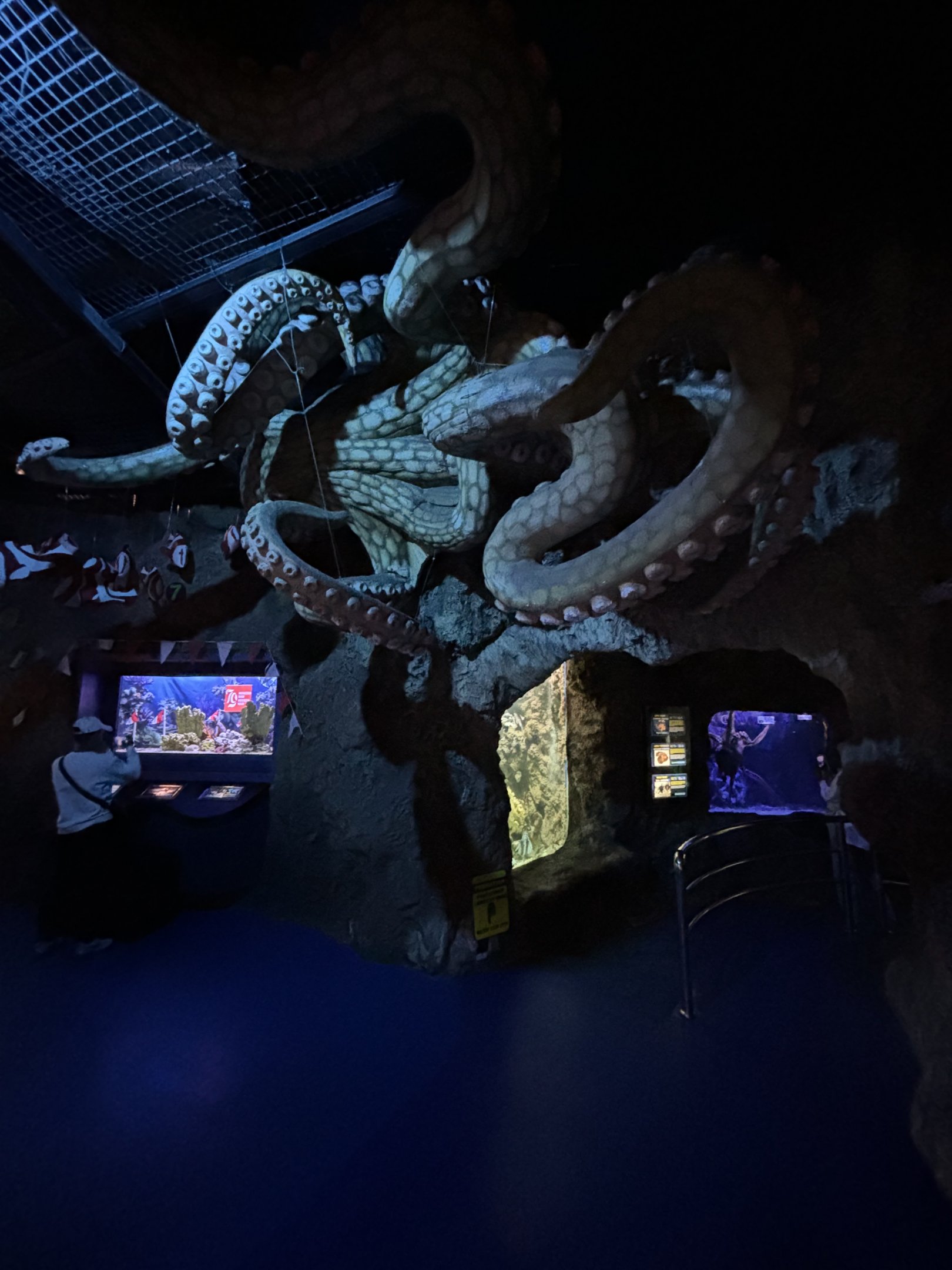 Giant Pacific Octopus Statue - massive!