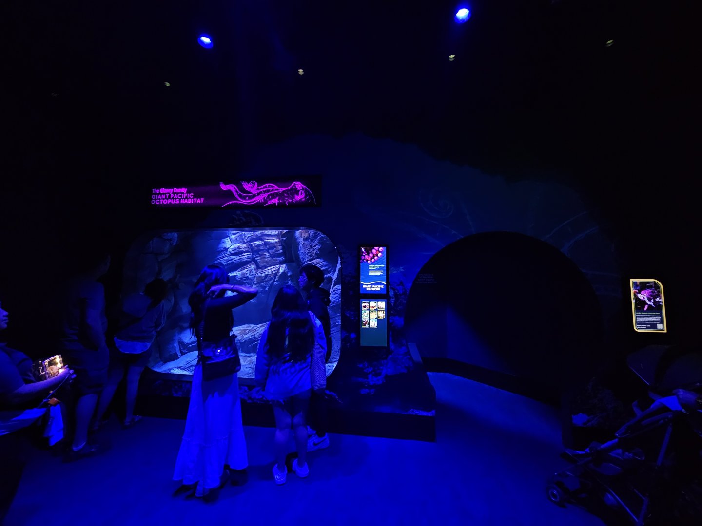 Giant Pacific Octopus Tank