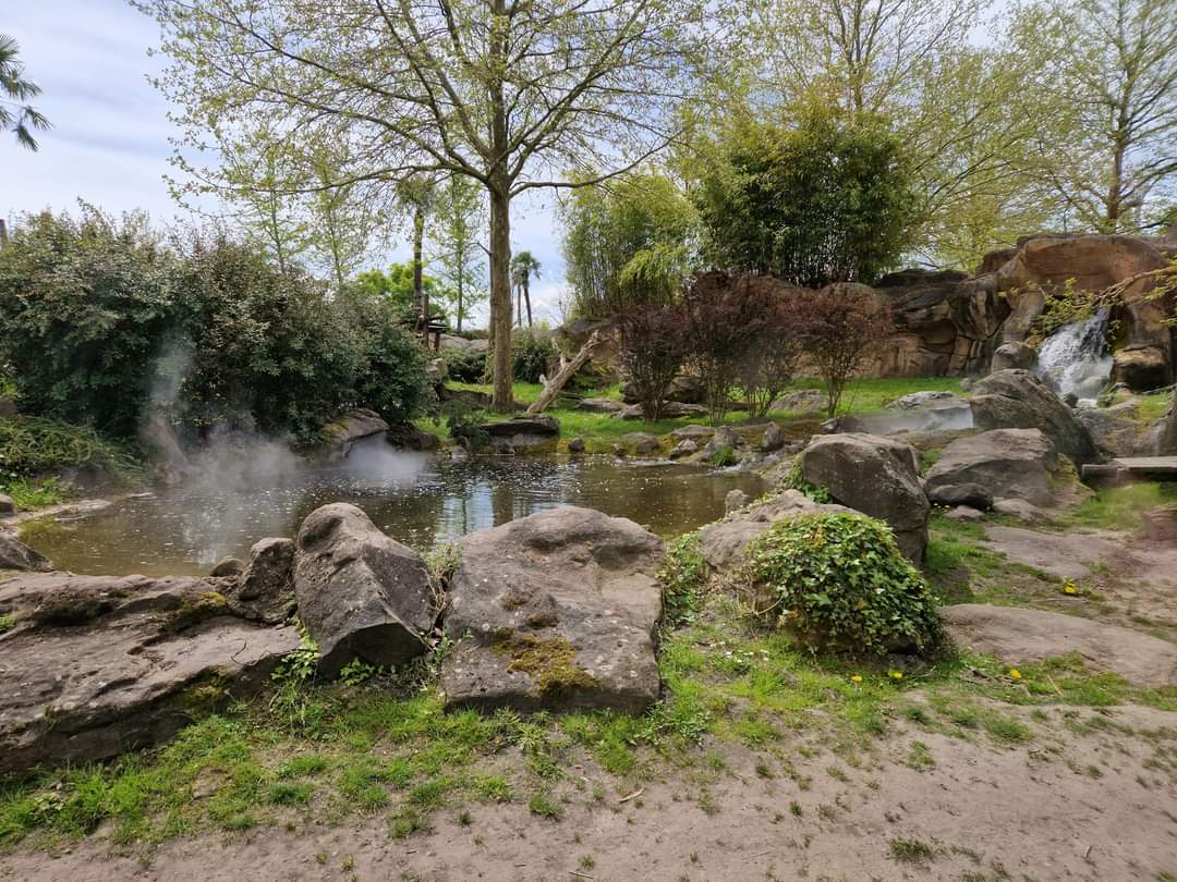 Giant Panda 2nd exhibit