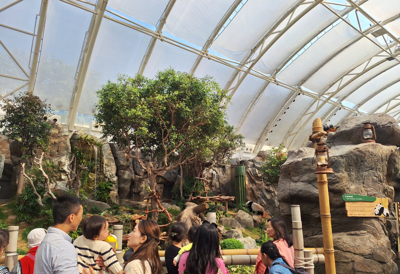 Giant Panda Adventure