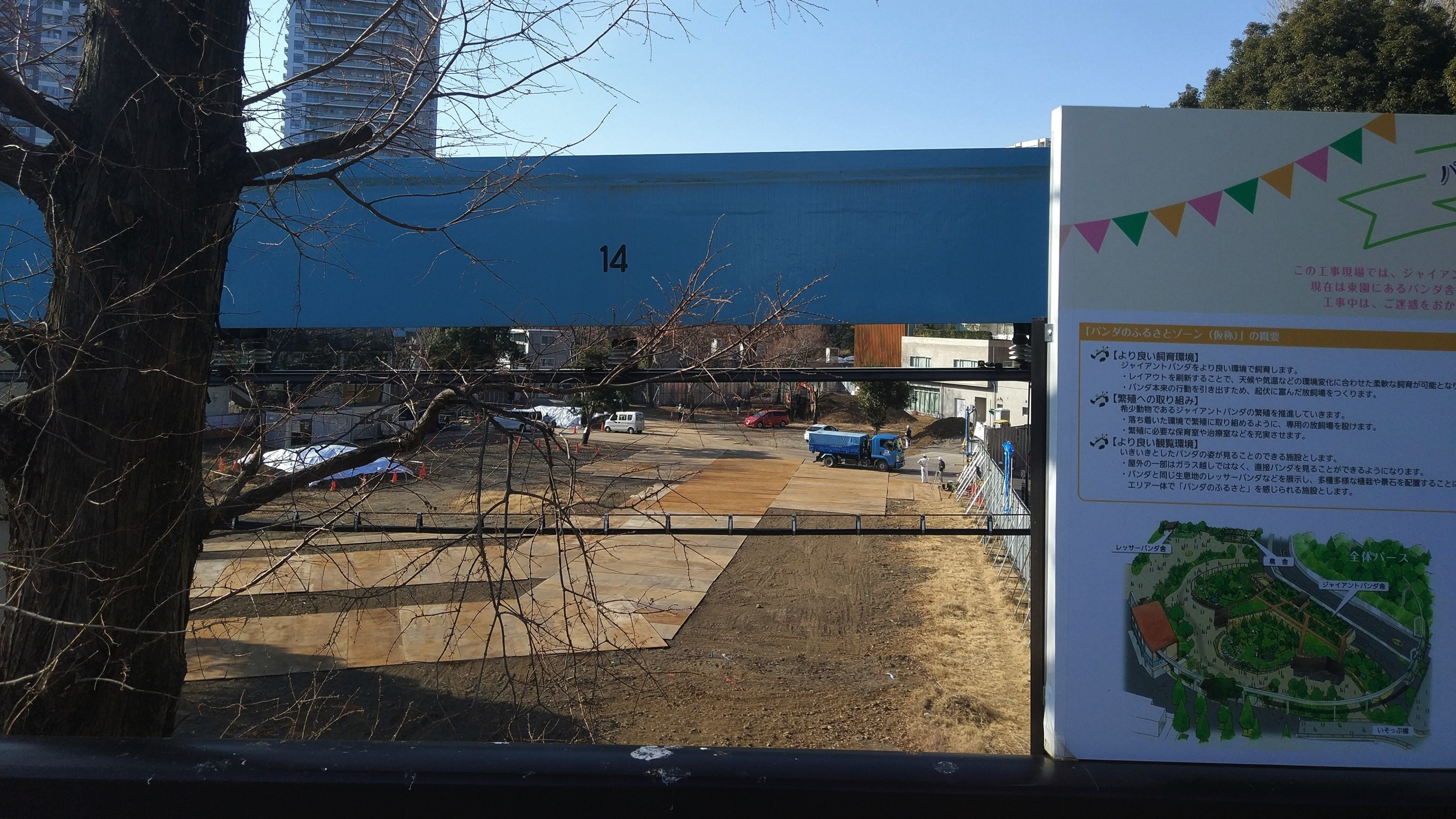 Giant Panda Building Site