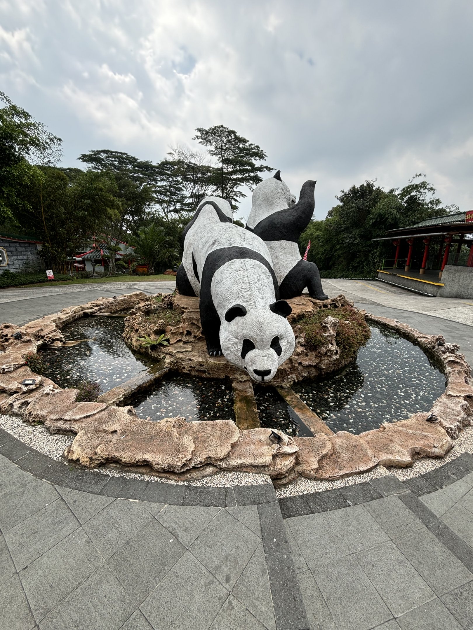 Giant Panda Complex