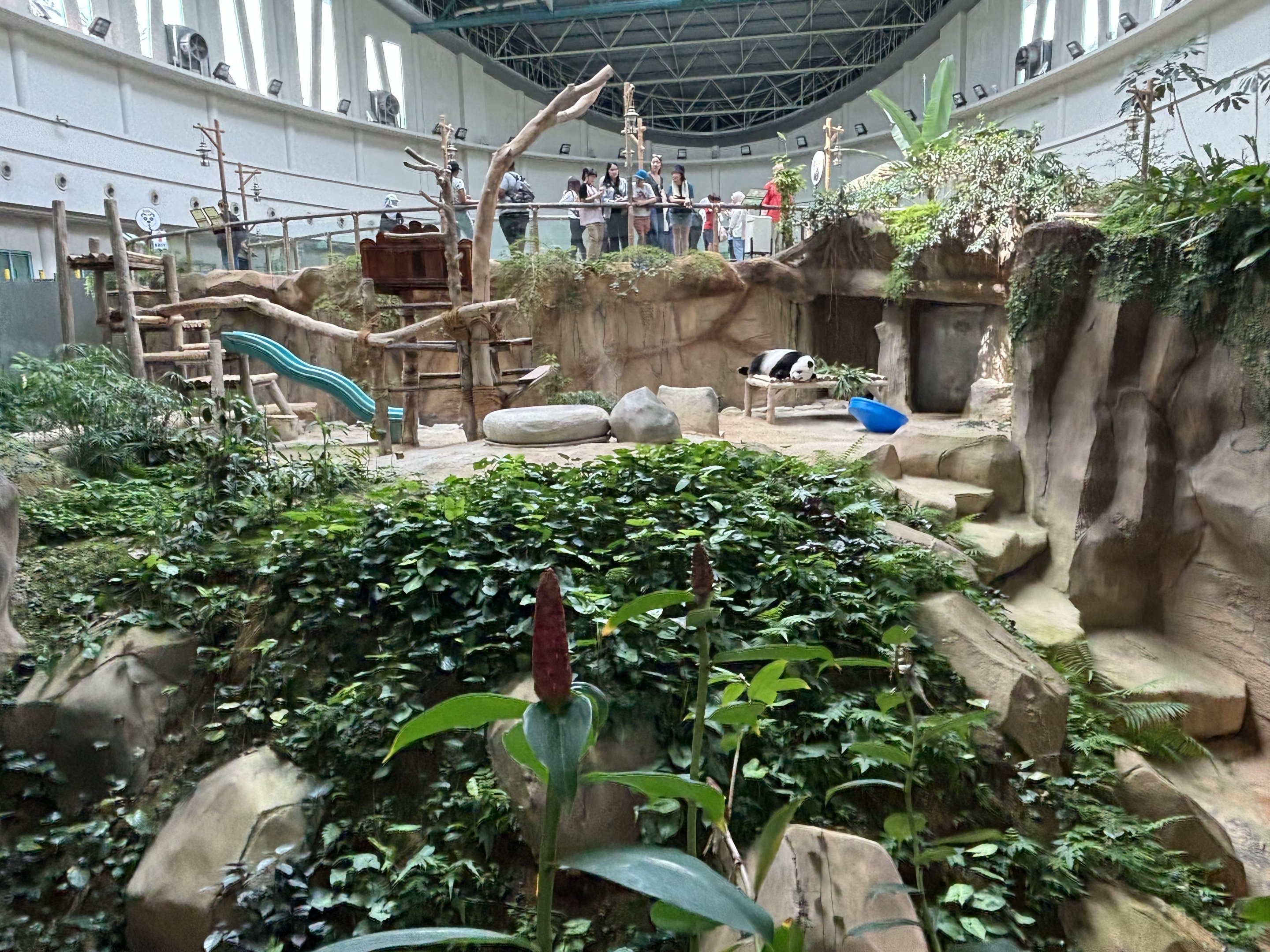Giant Panda Conservation Center