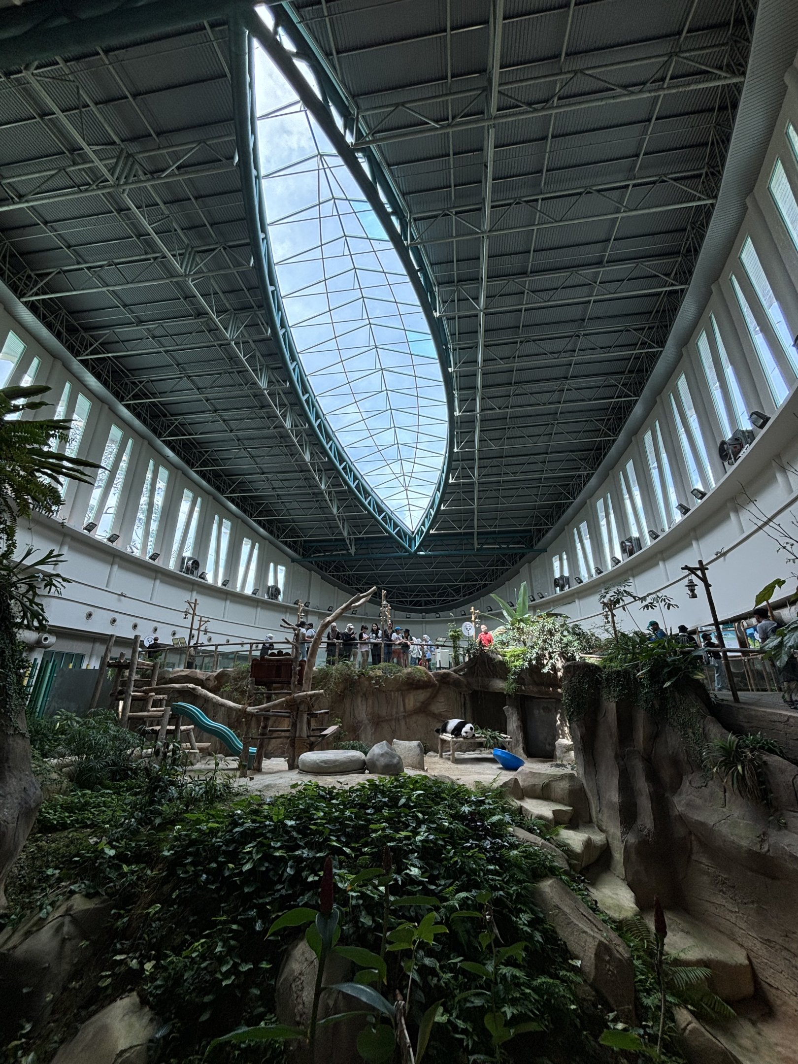 Giant Panda Conservation Center