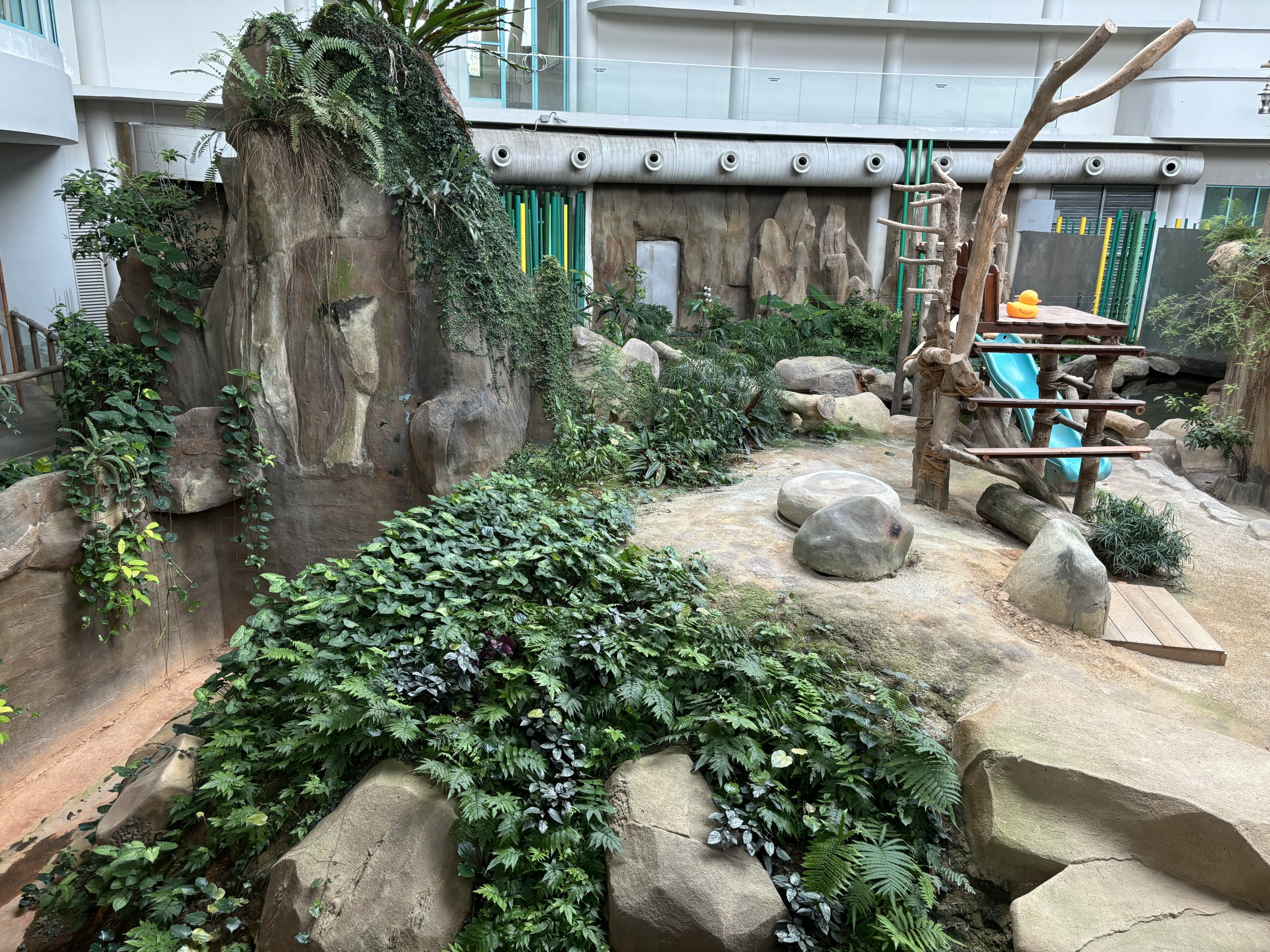 Giant Panda Conservation Center