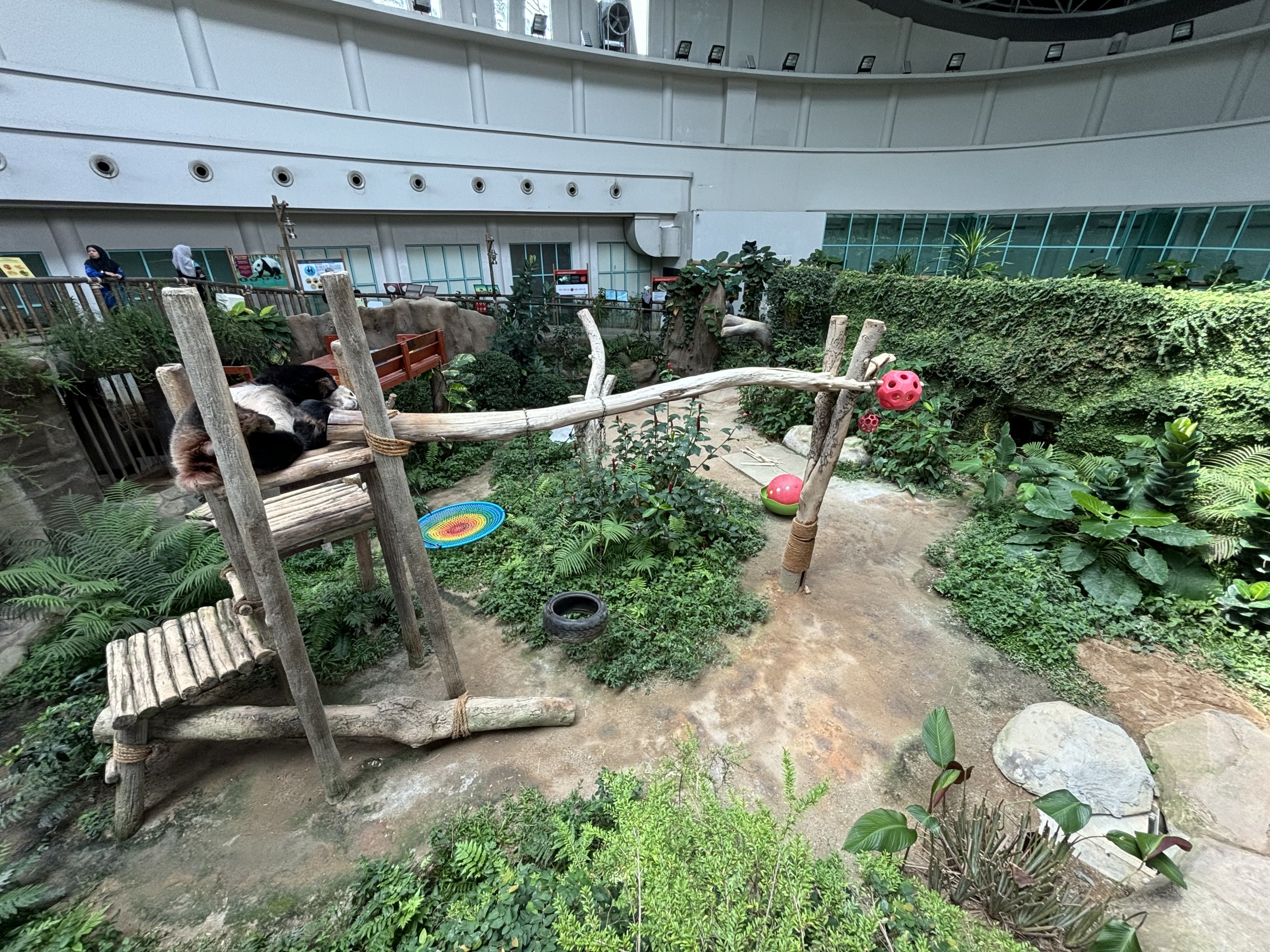 Giant Panda Conservation Center