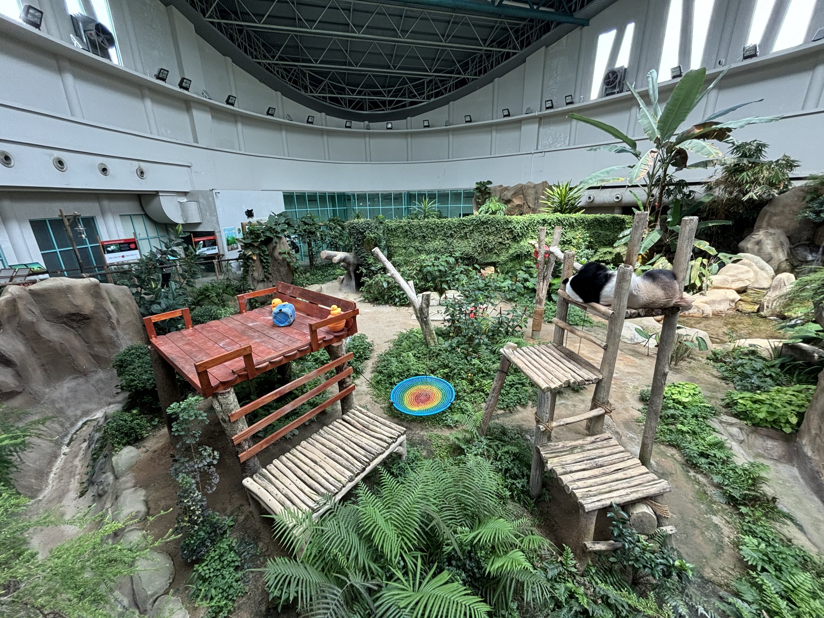 Giant Panda Conservation Center