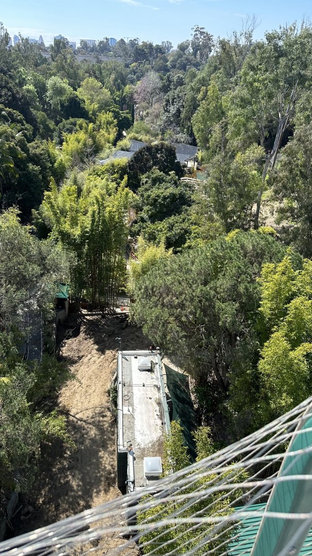 Giant Panda Construction From Canopy Bridge