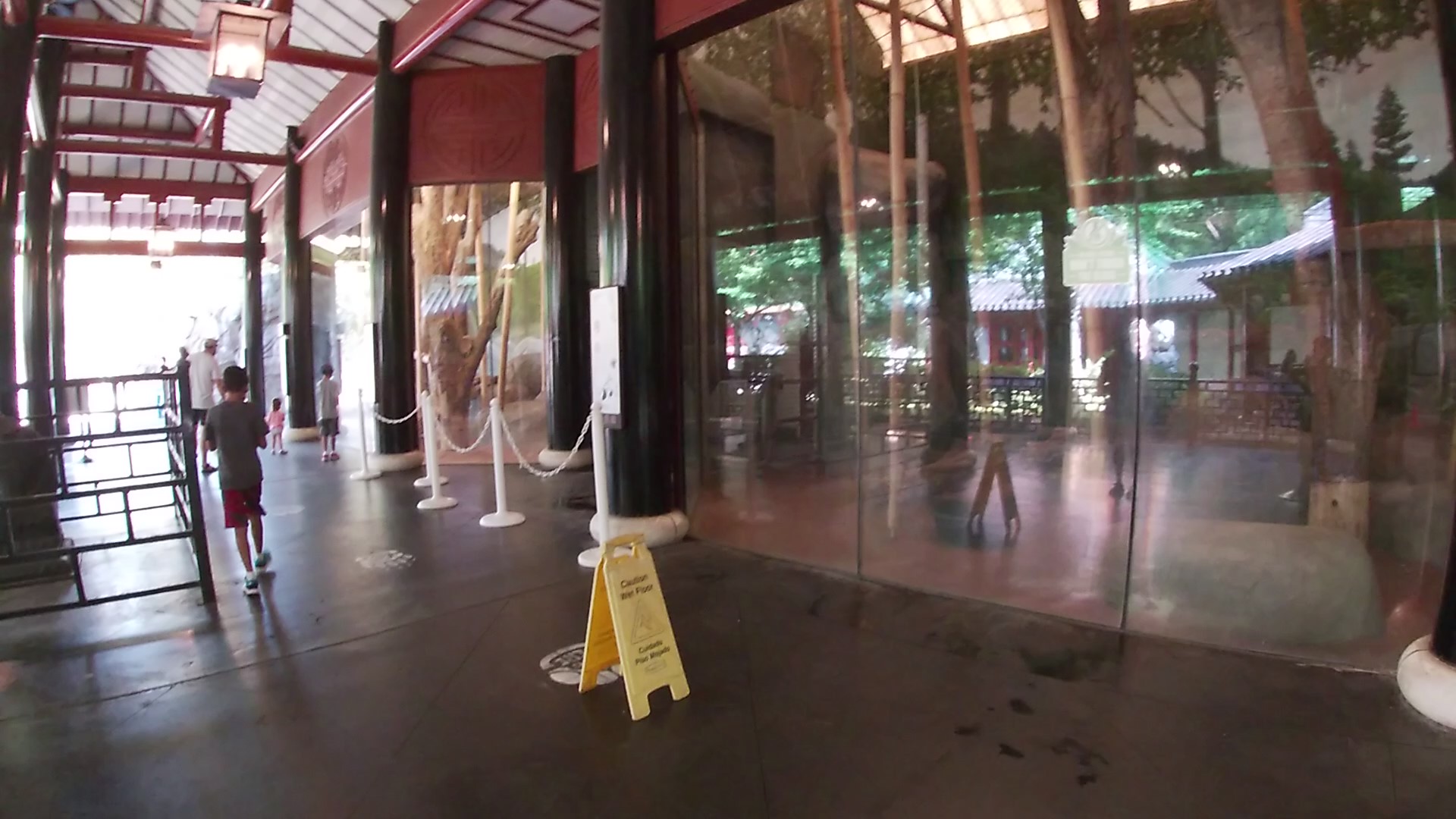 Giant Panda Day Rooms, China, Aug. 2020