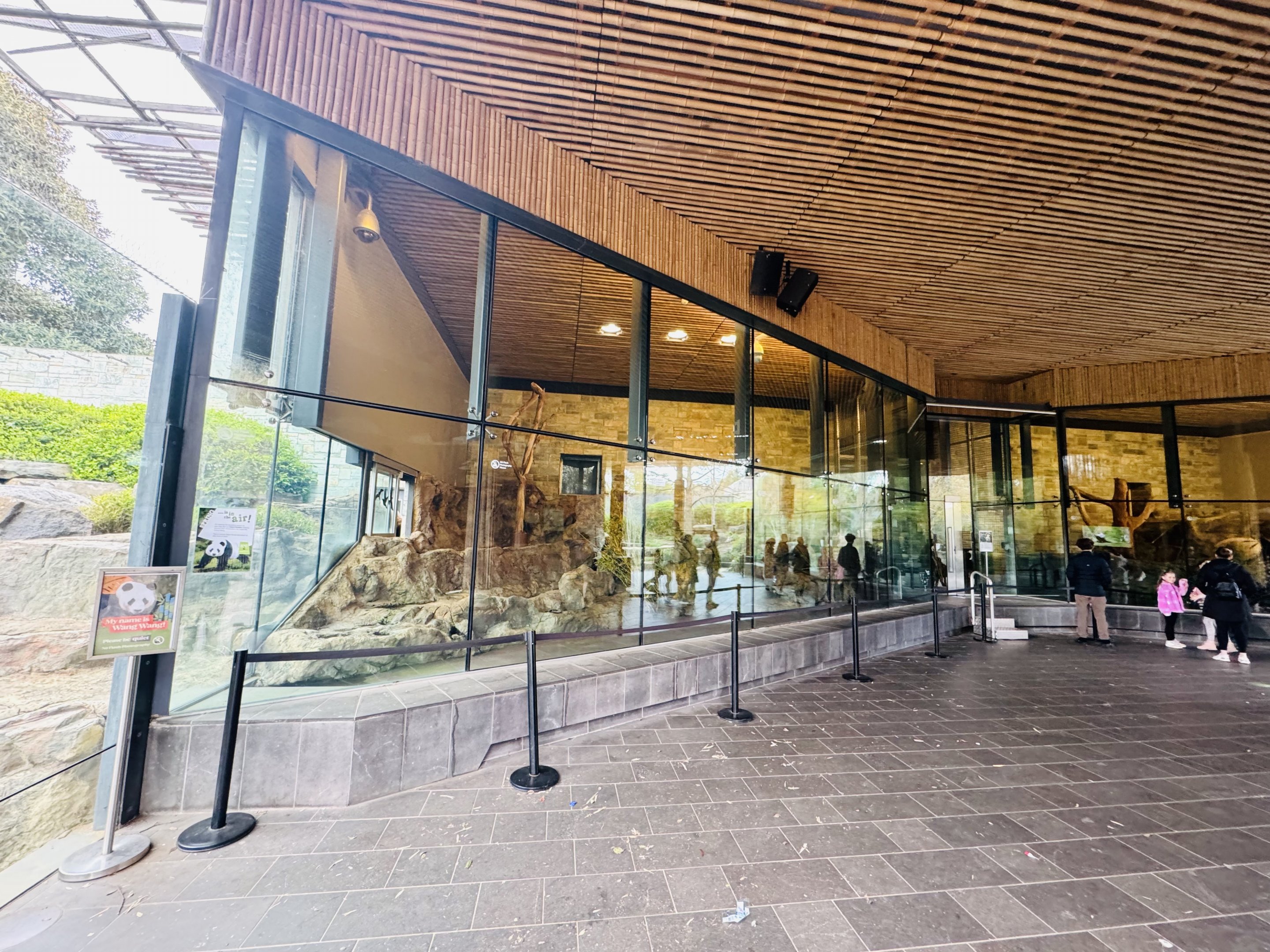 Giant panda dayrooms