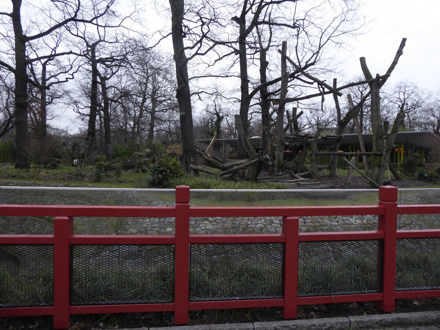 Giant panda enclosure 290118