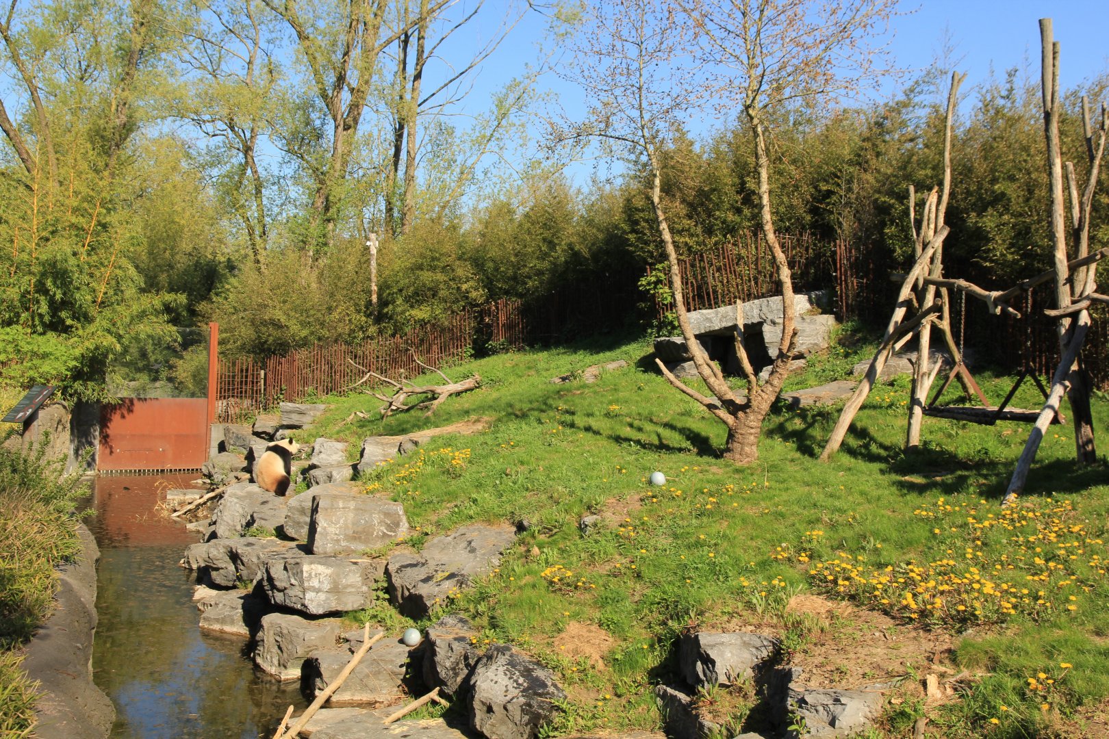 Giant Panda enclosure (April 2019)