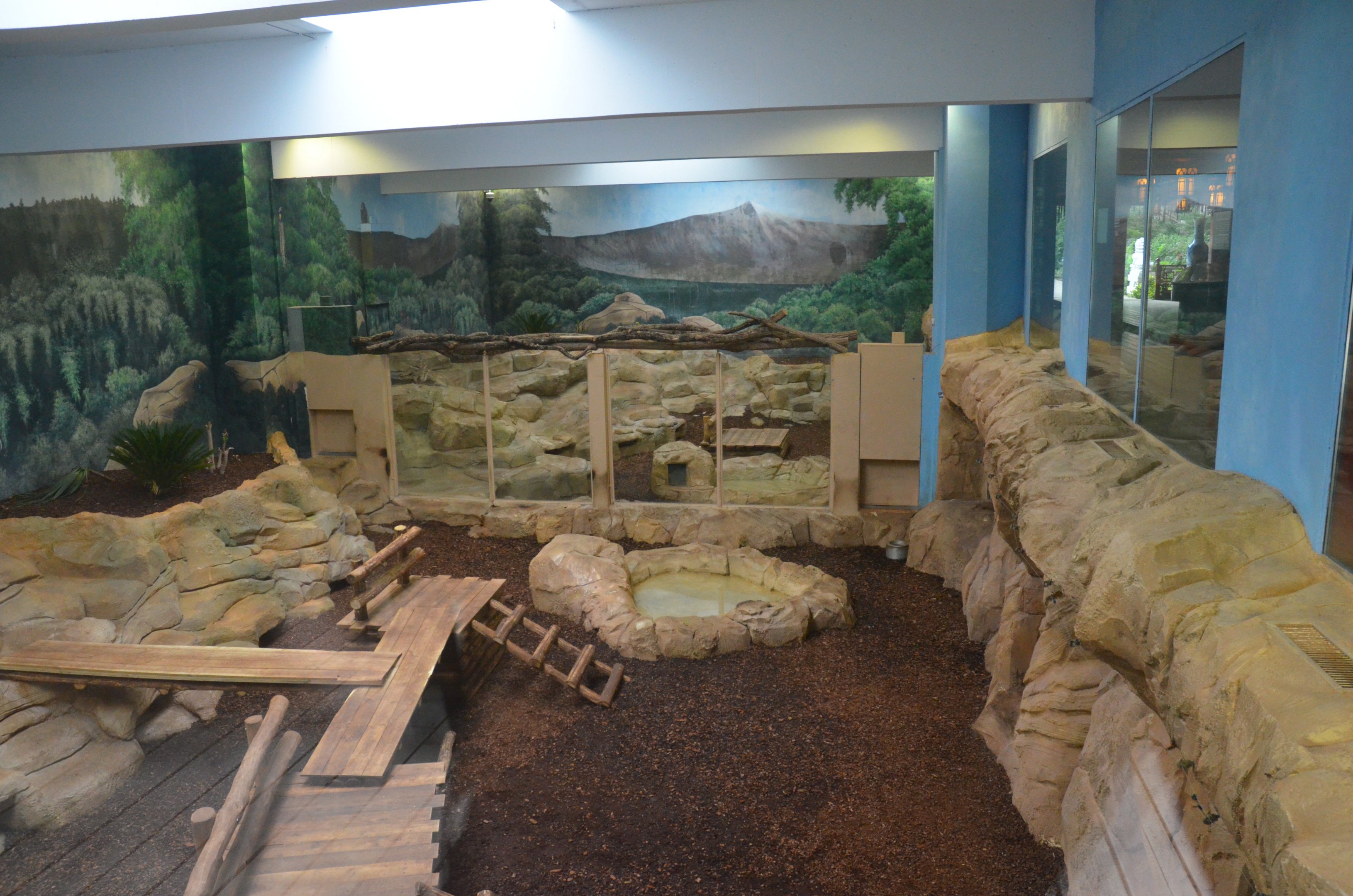 Giant Panda Enclosure at Beauval, 12/06/18