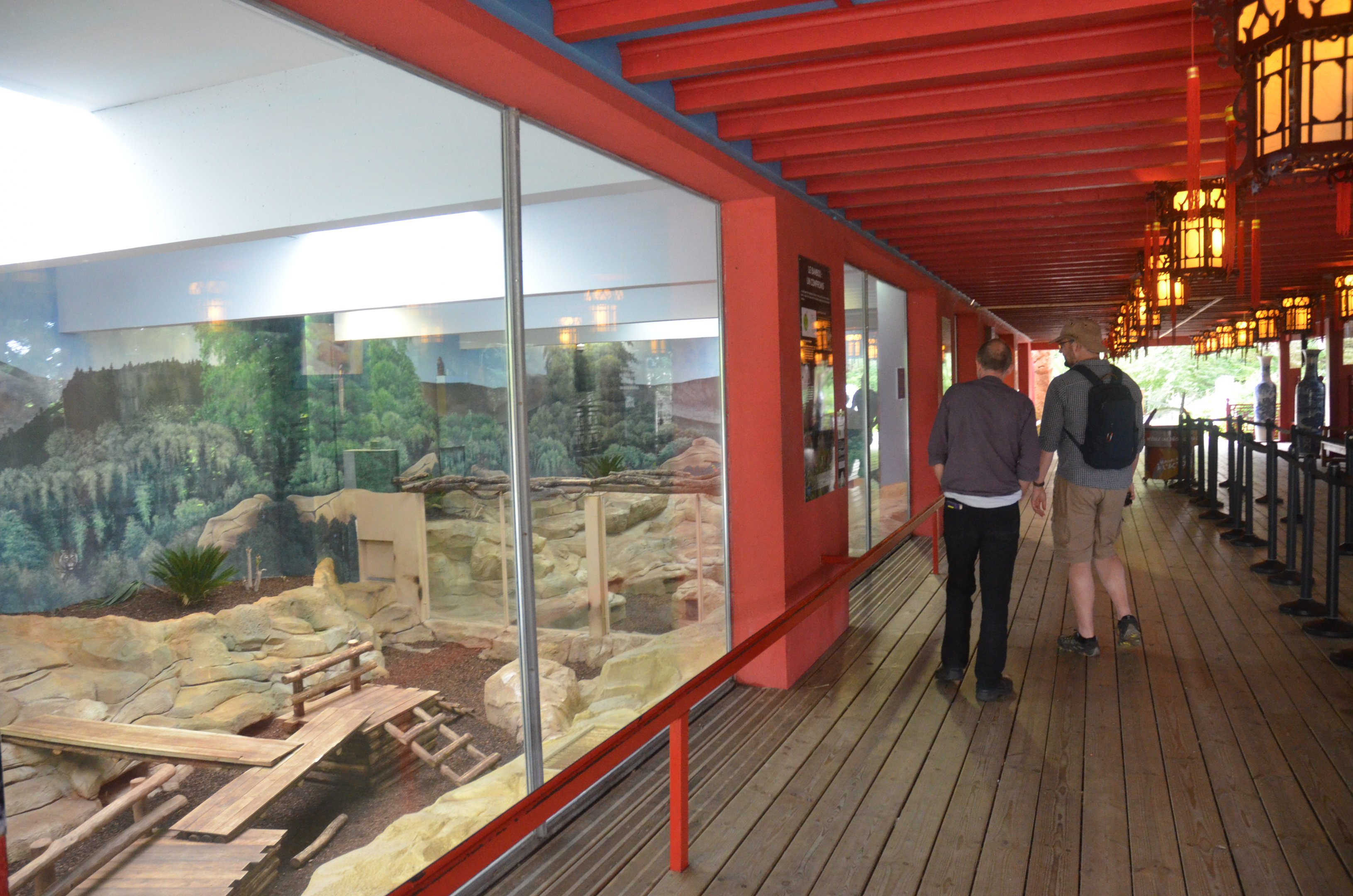 Giant Panda Enclosure at Beauval, 12/06/18