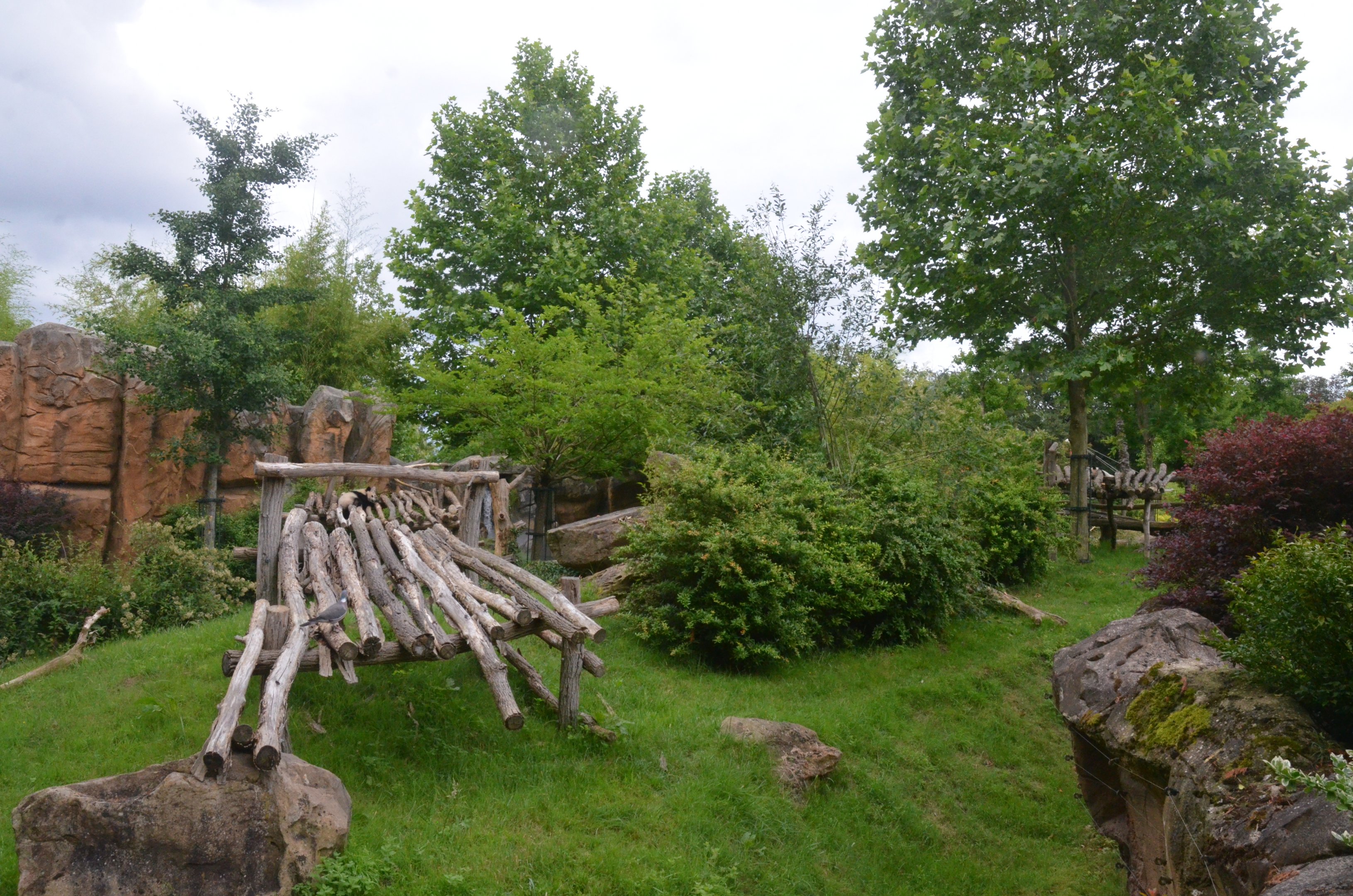Giant Panda Enclosure at Beauval, 12/06/18