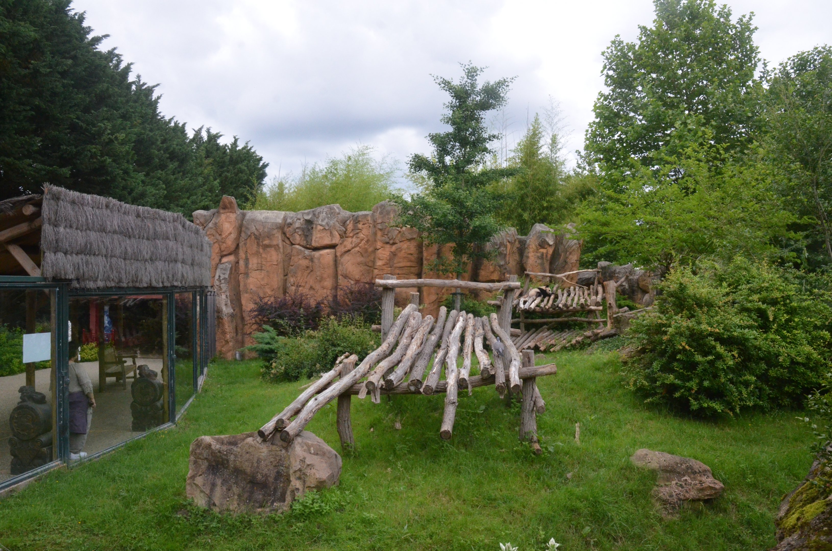 Giant Panda Enclosure at Beauval, 12/06/18