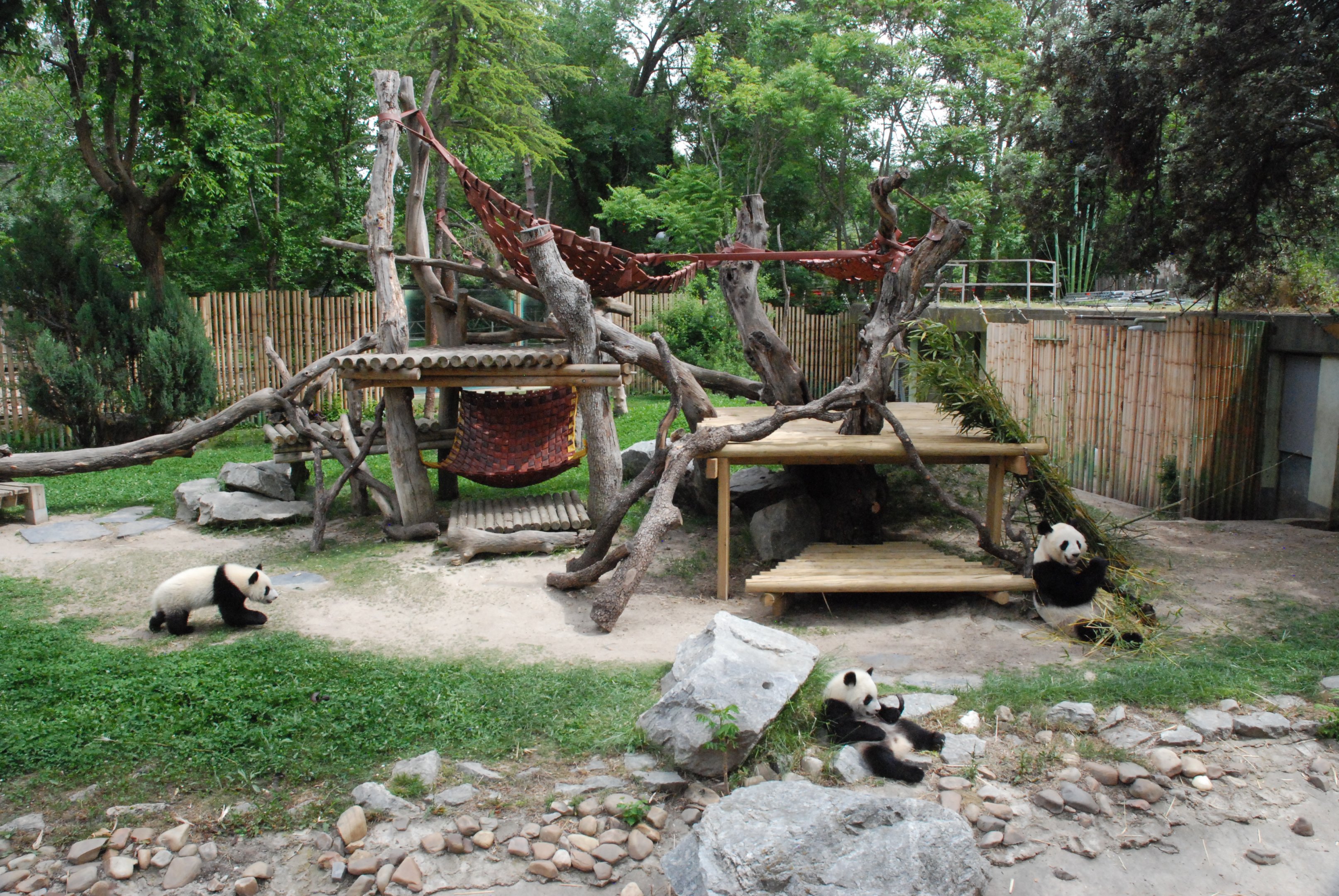 Giant Panda Enclosure at Zoo Aquarium de Madrid, 20th May 2022