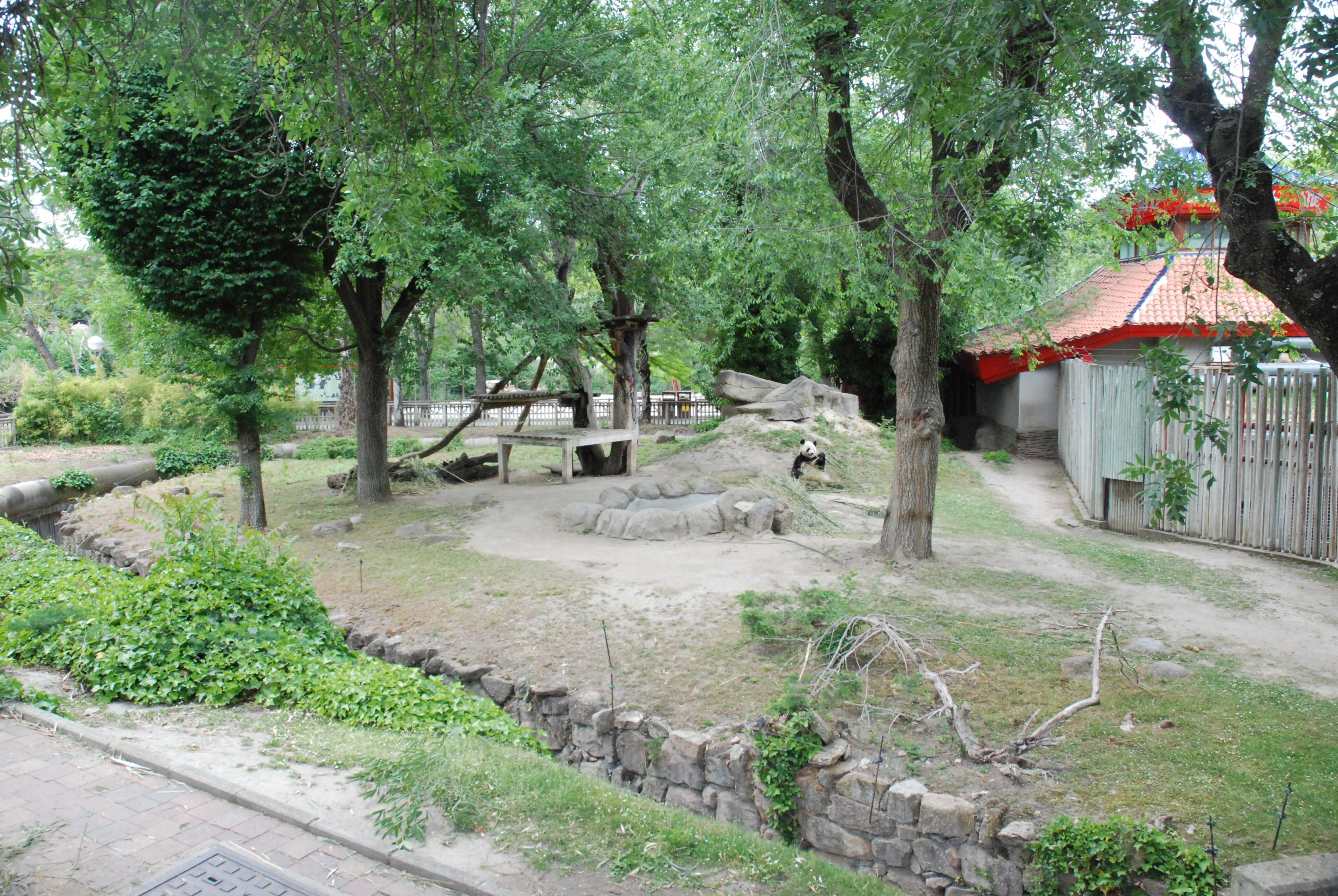 Giant Panda Enclosure at Zoo Aquarium de Madrid, 20th May 2022