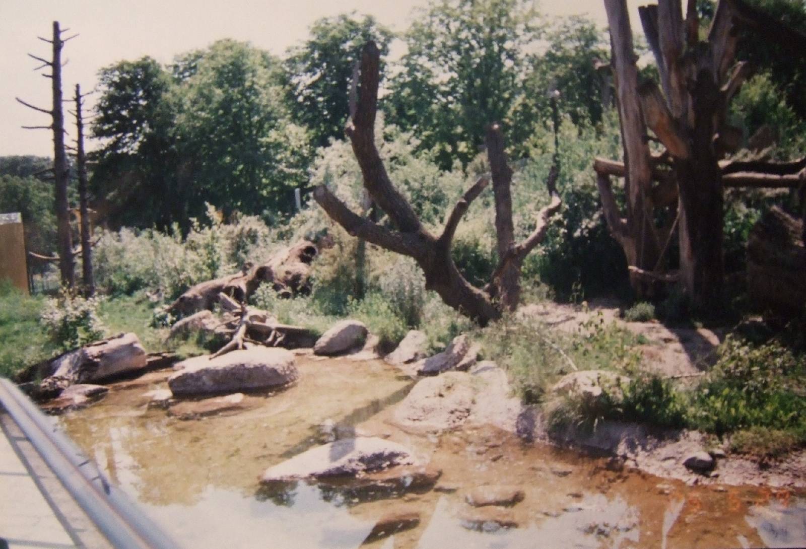 Giant panda enclosure @ Vienna Zoo