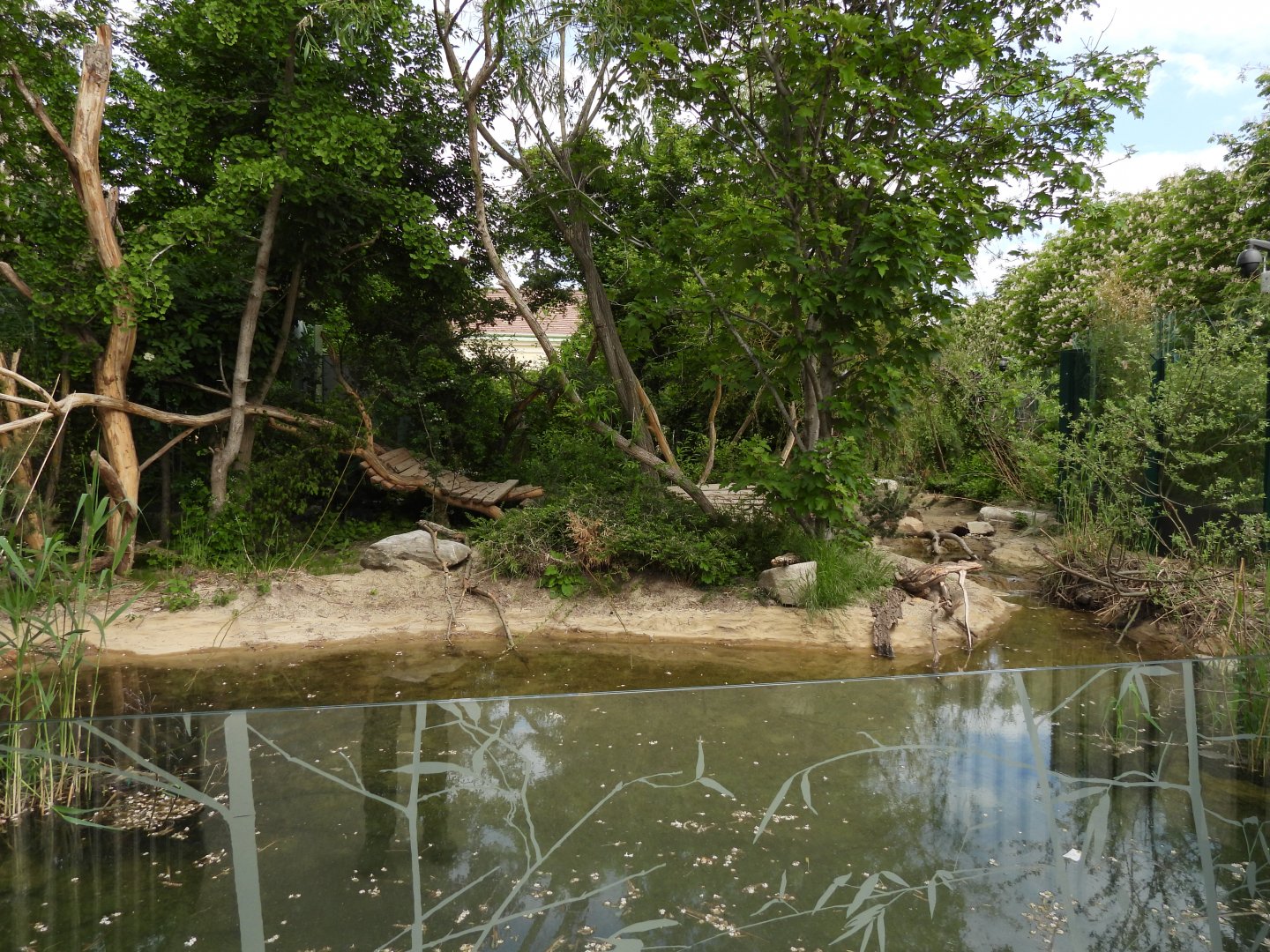 Giant panda enclosure (view from the pavilion side)