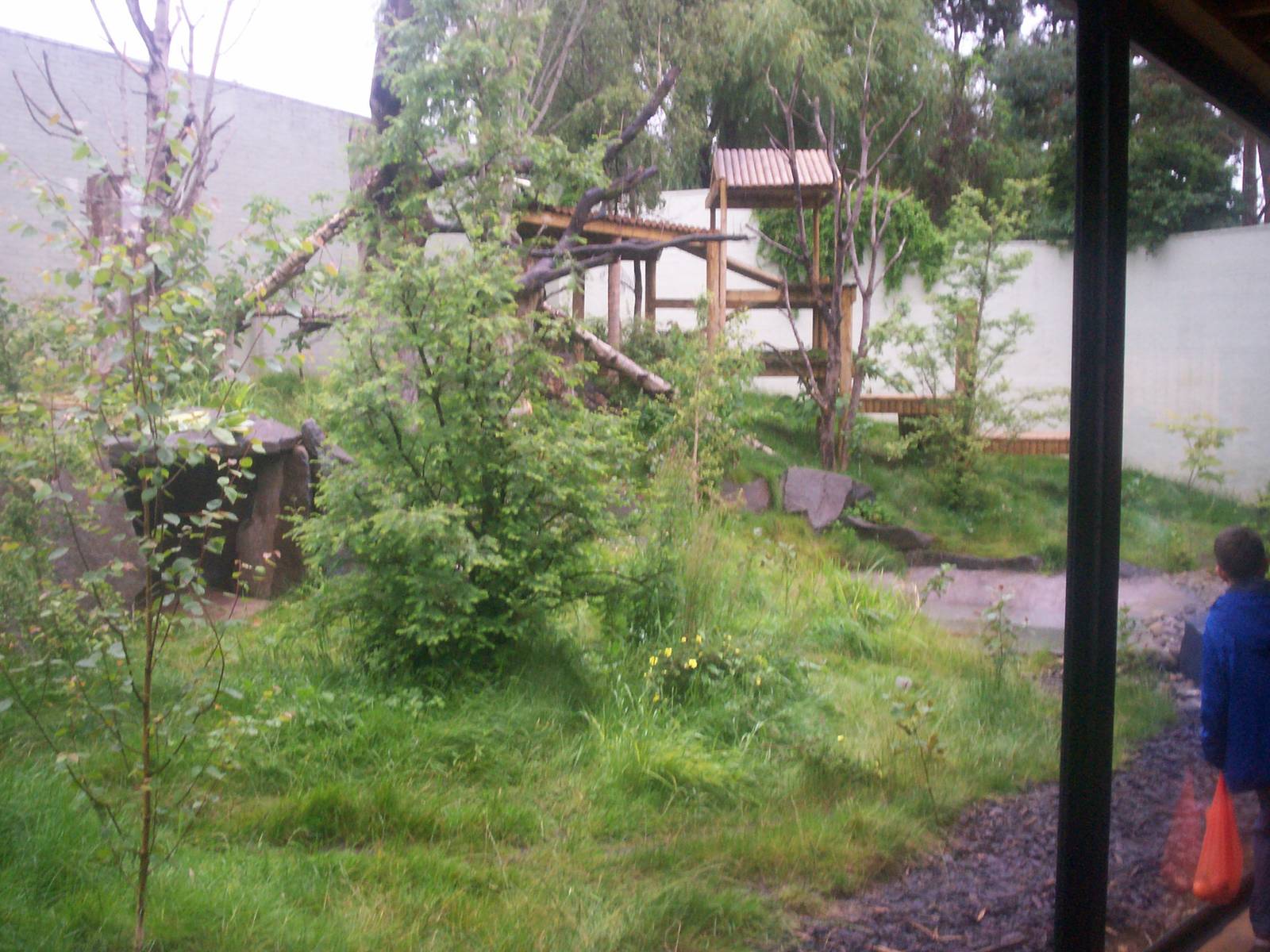 Giant panda enclosure