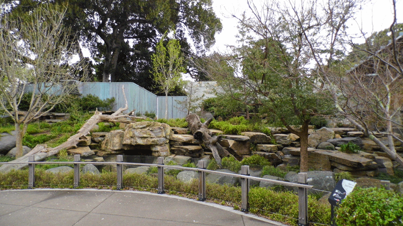 Giant Panda Enclosure