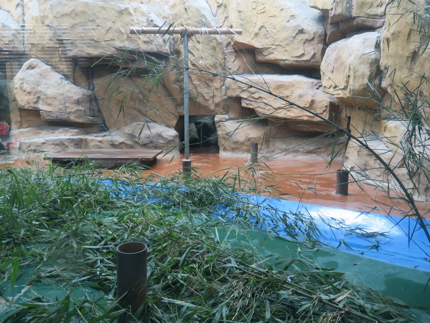 giant panda enclosure