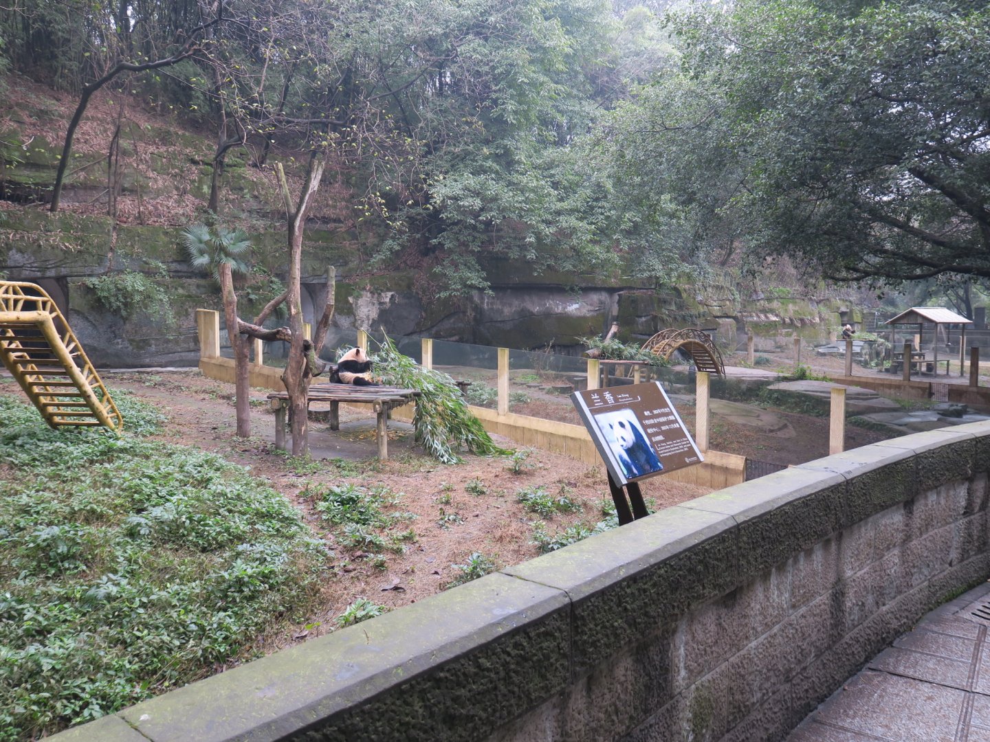 giant panda enclosure