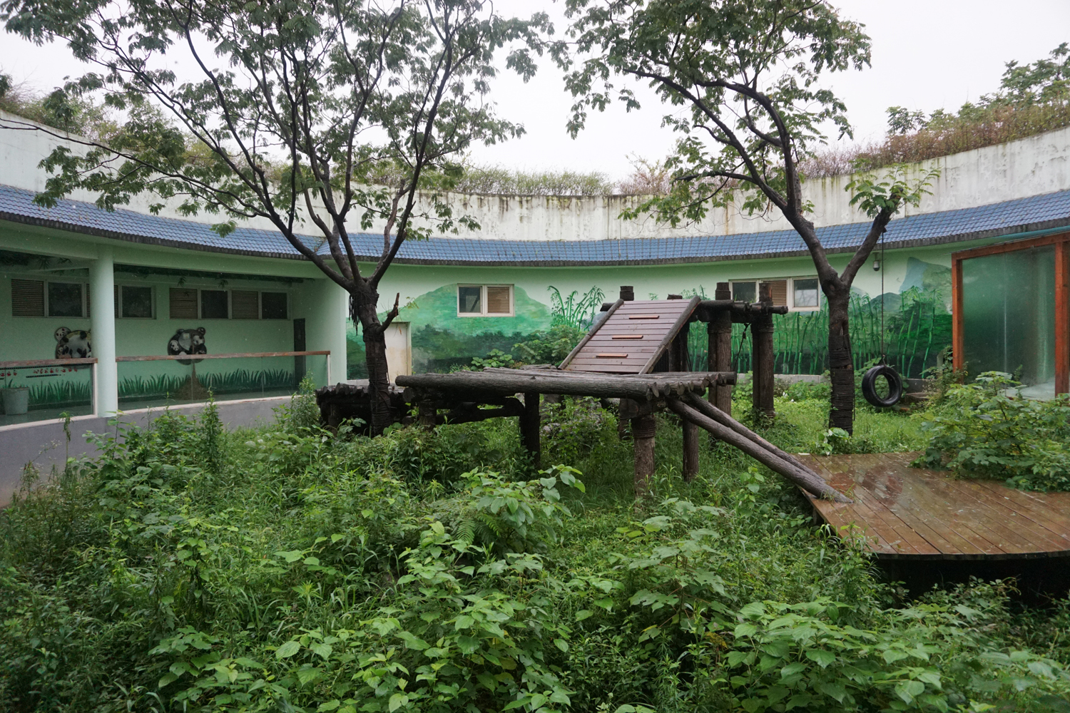 Giant panda enclosure