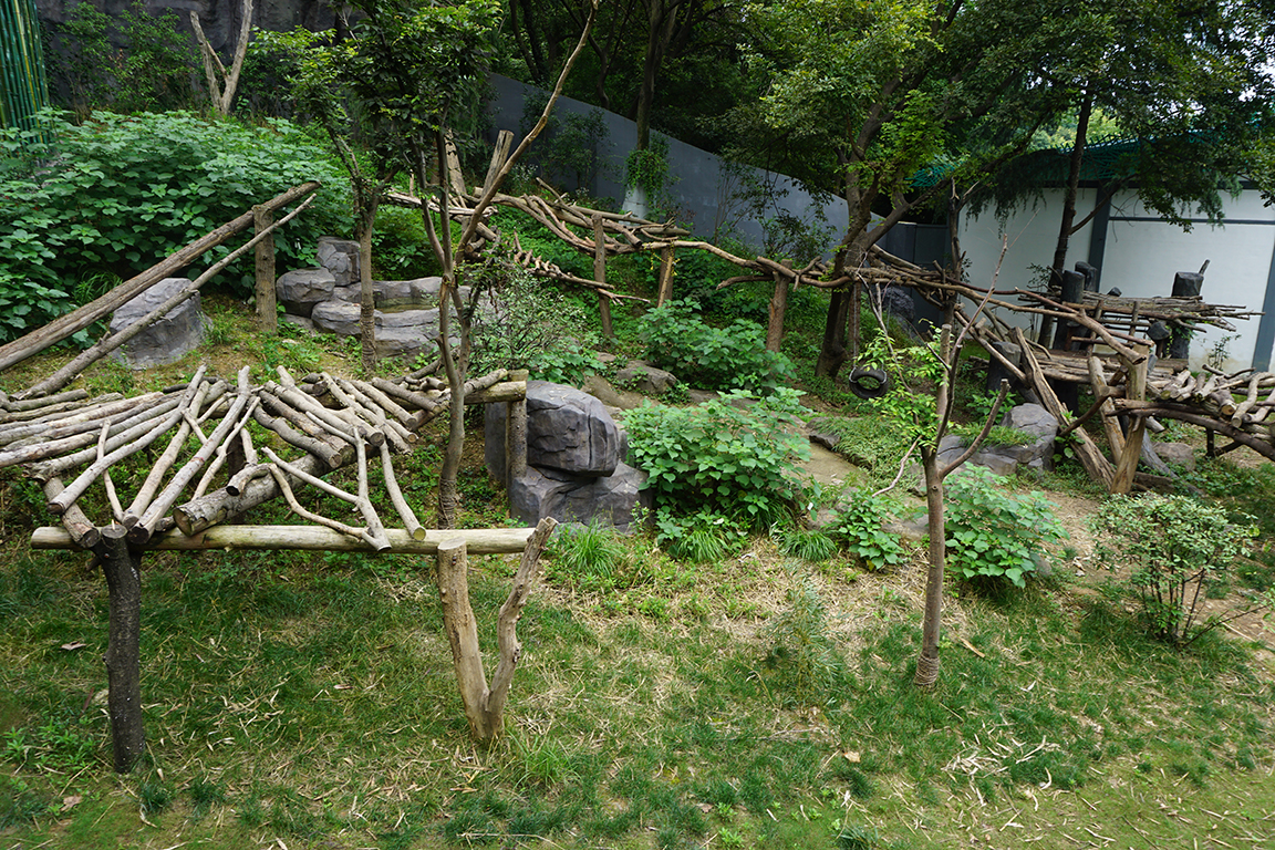 Giant panda enclosure