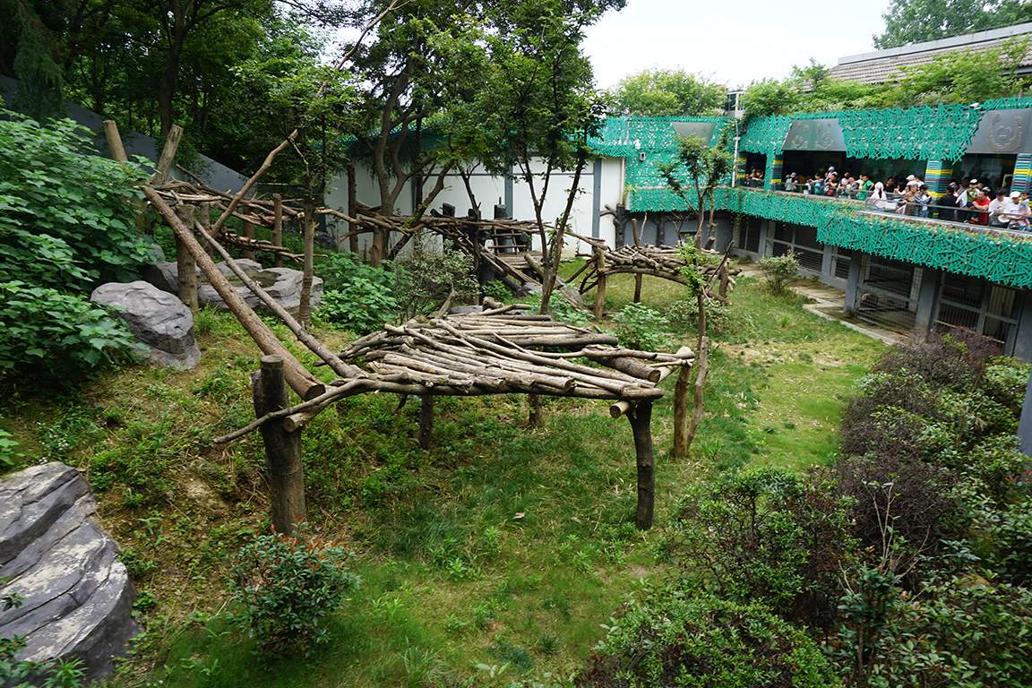 Giant panda enclosure