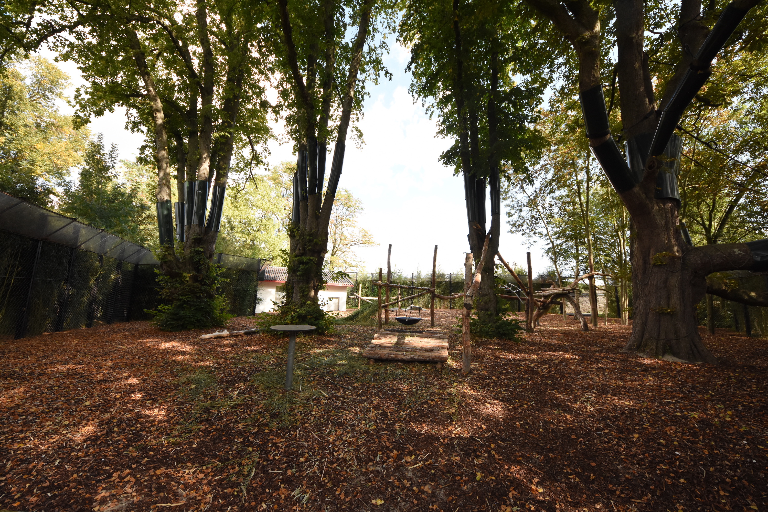 Giant panda enclosure