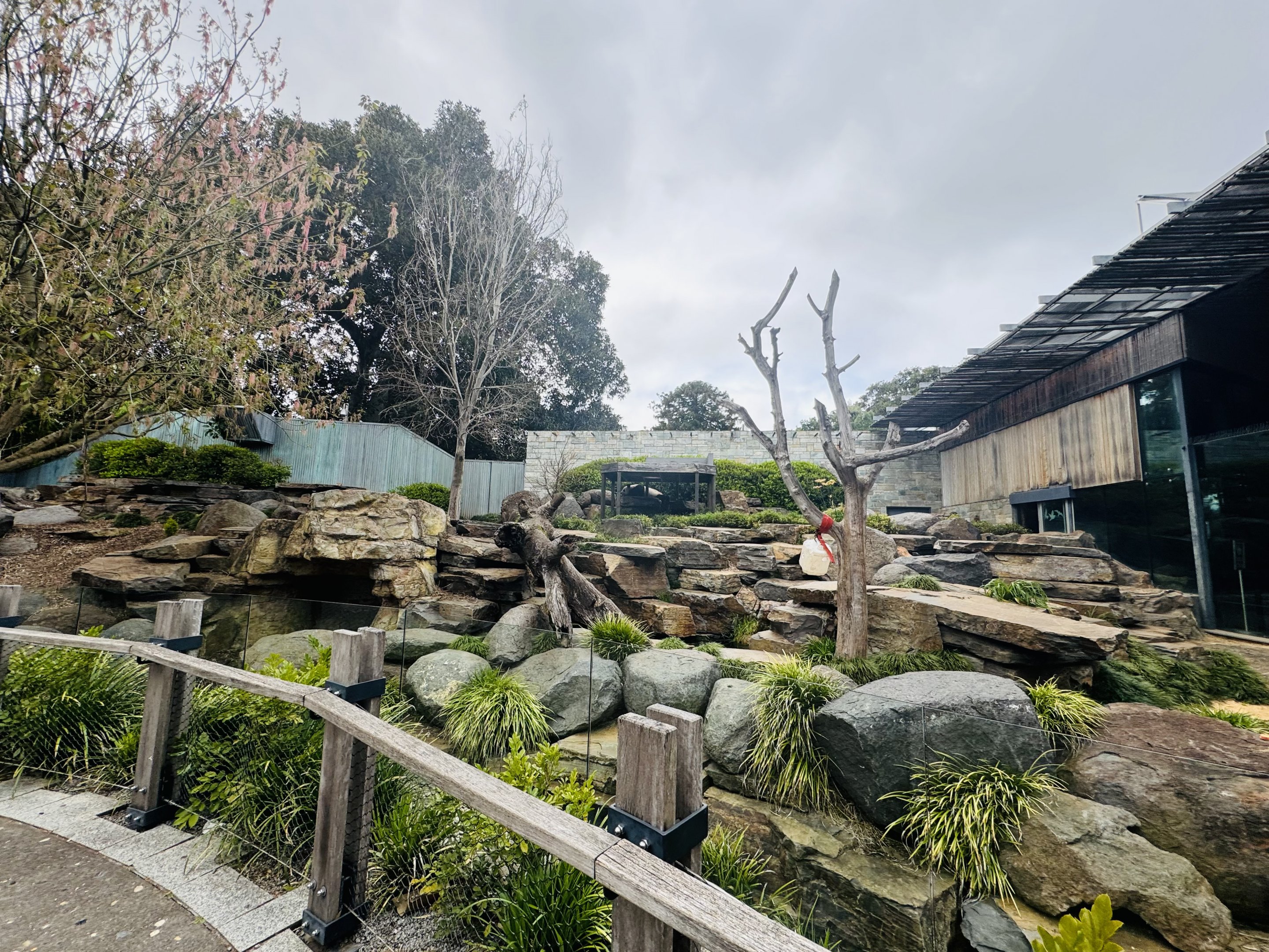 Giant panda enclosure
