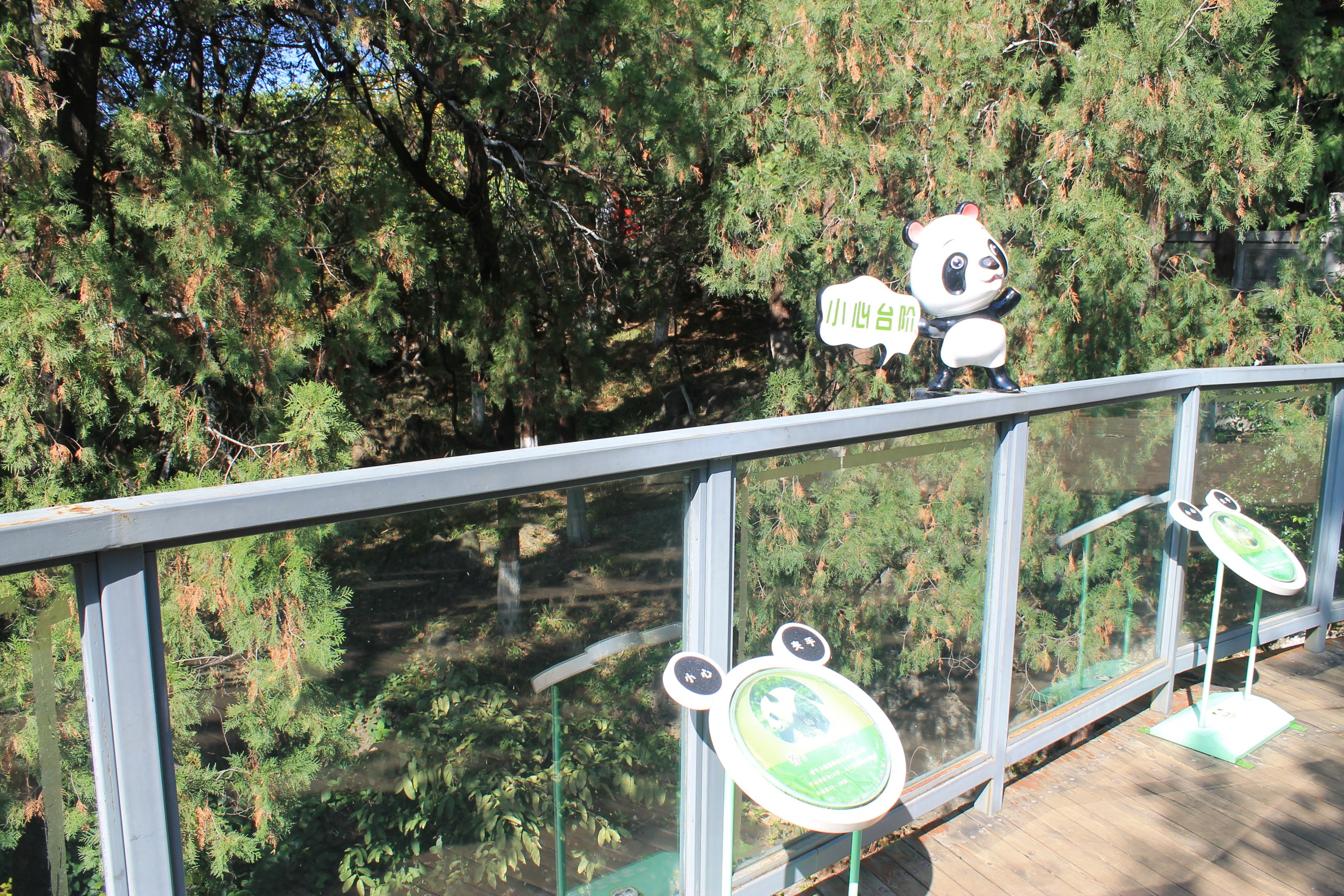 Giant Panda enclosure