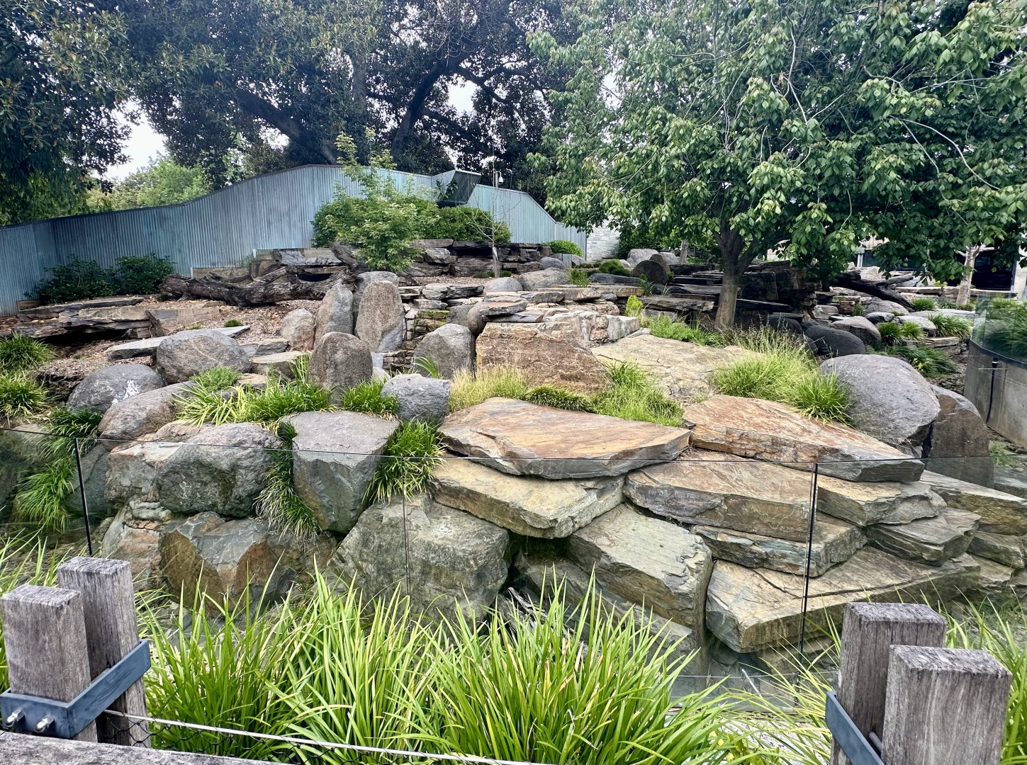 Giant Panda Exhibit 1