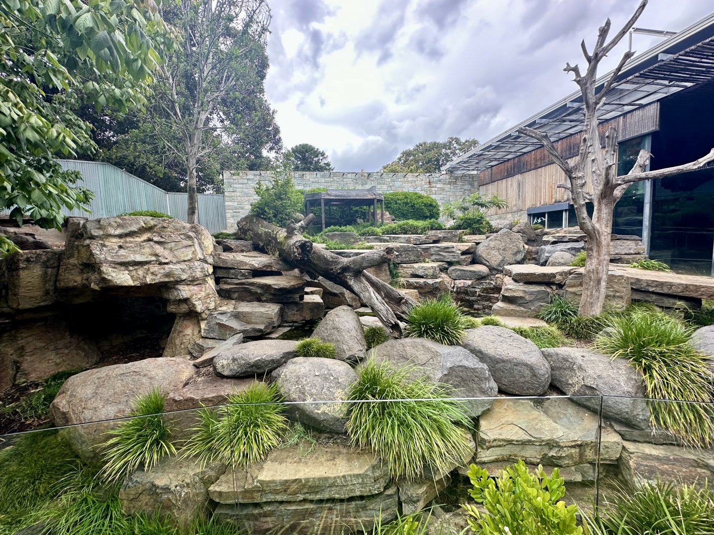 Giant Panda Exhibit 1