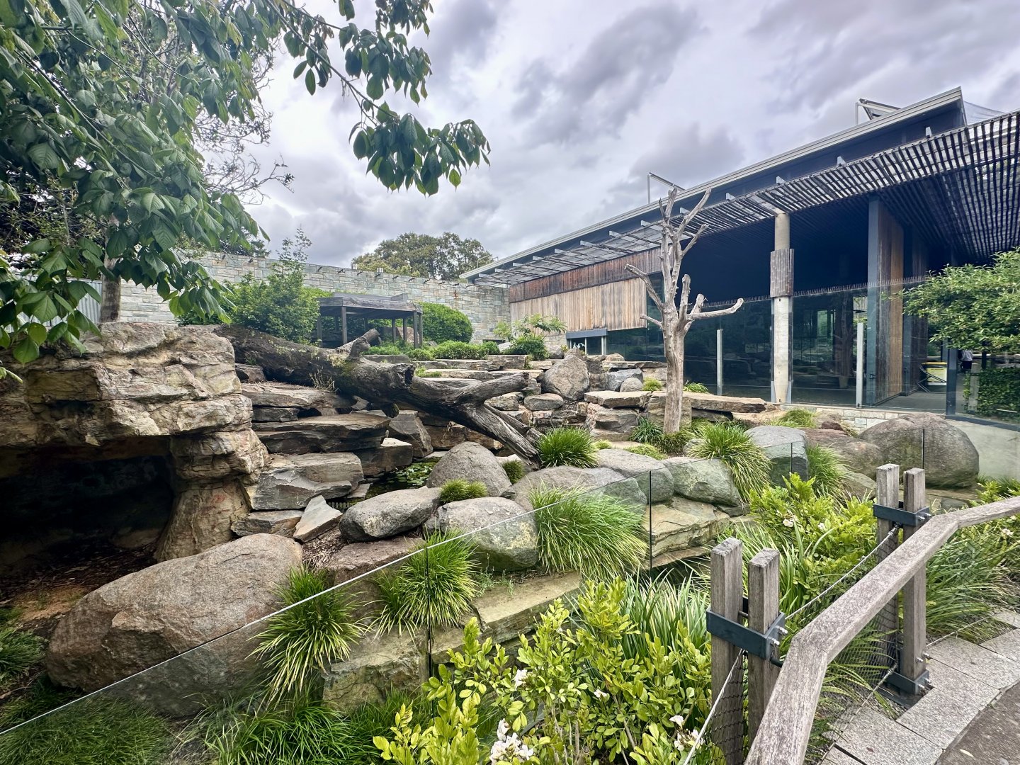 Giant Panda Exhibit 1