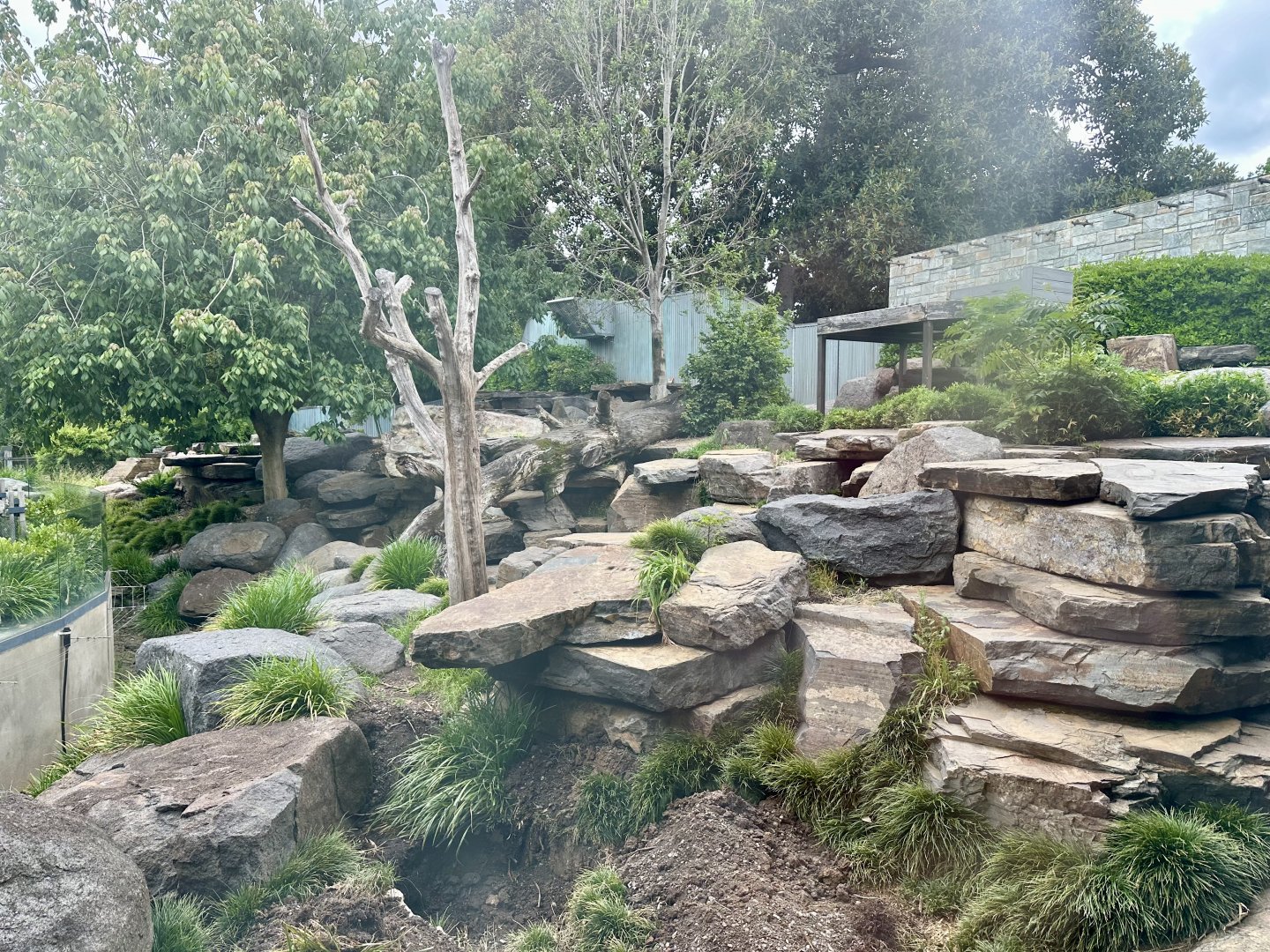 Giant Panda Exhibit 1