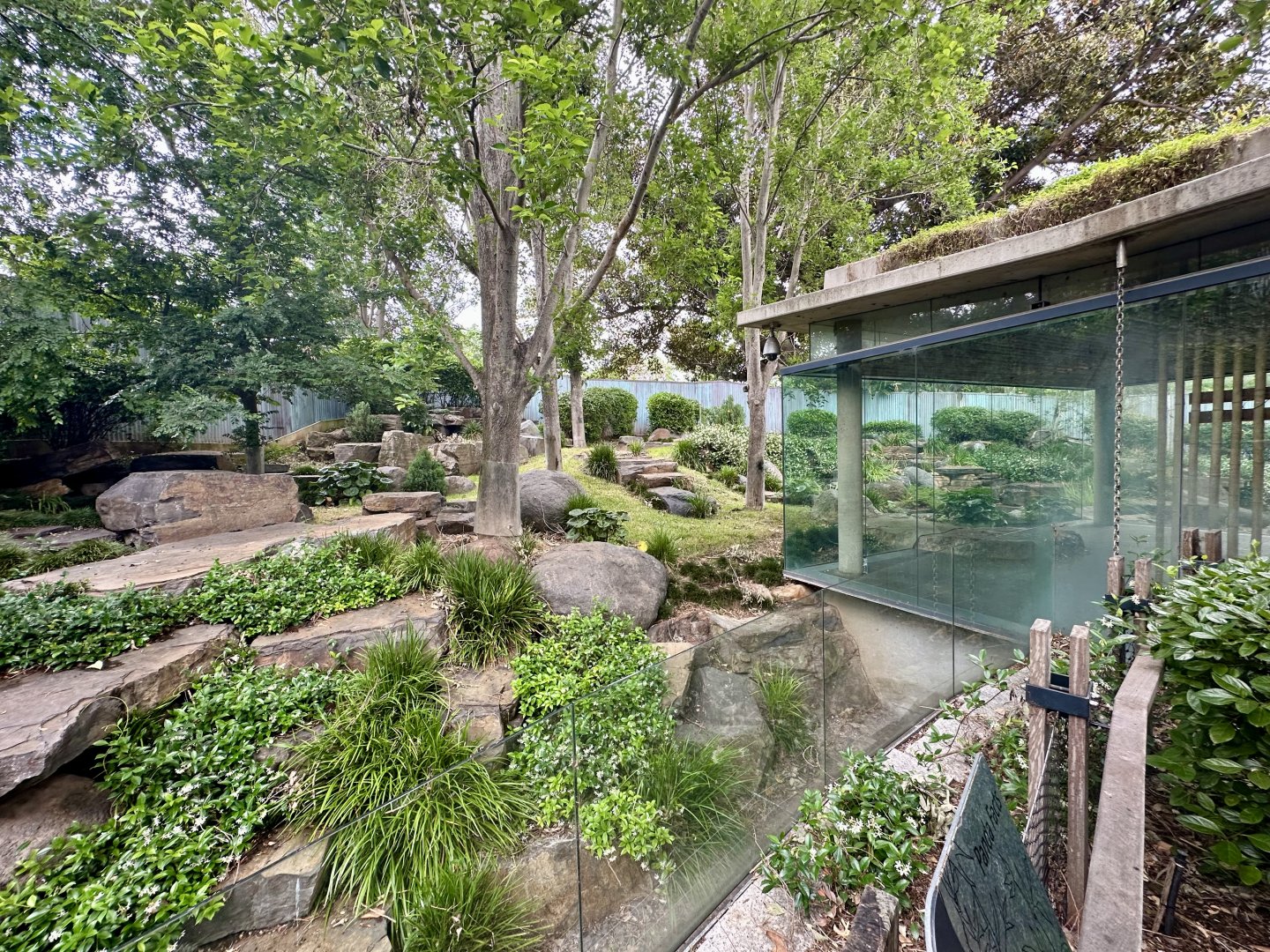 Giant Panda Exhibit 2