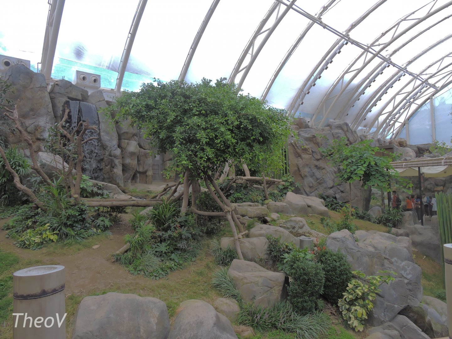 Giant panda exhibit [2016]