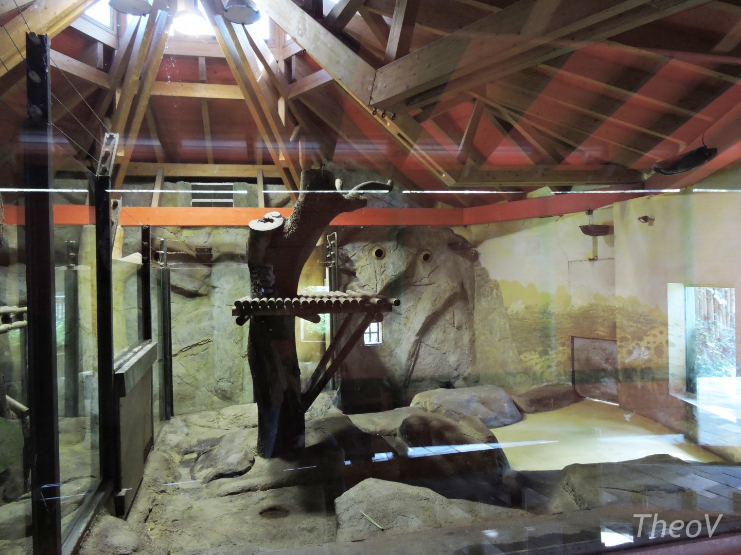 Giant panda exhibit [2016]