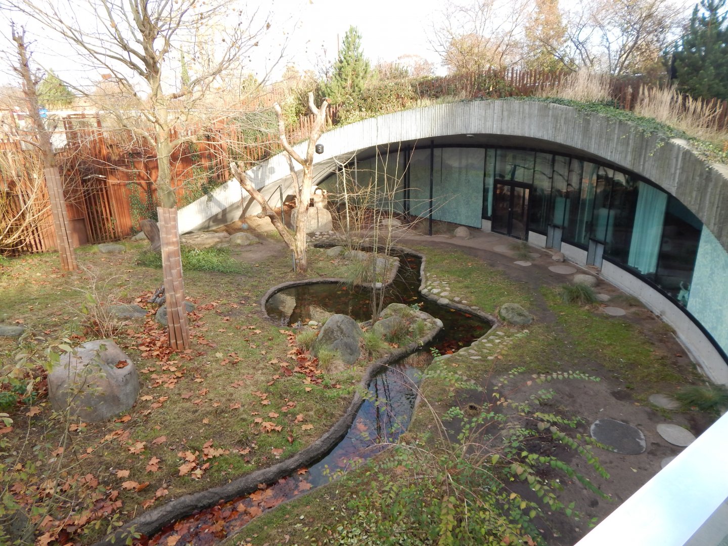 Giant panda exhibit 261124