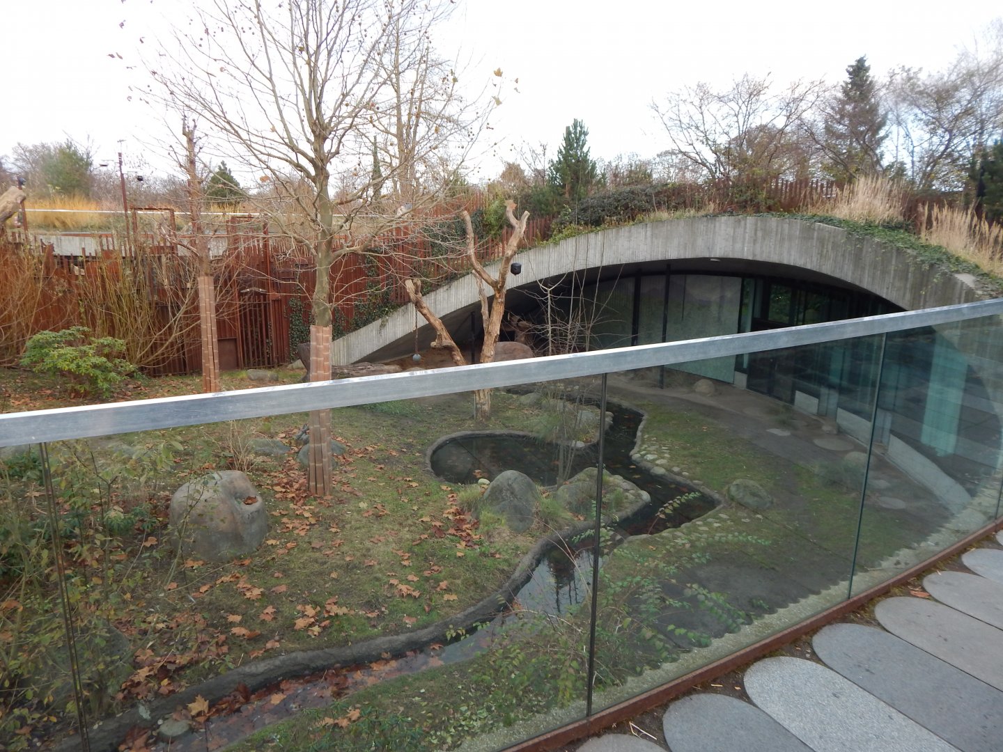 Giant panda exhibit 261124