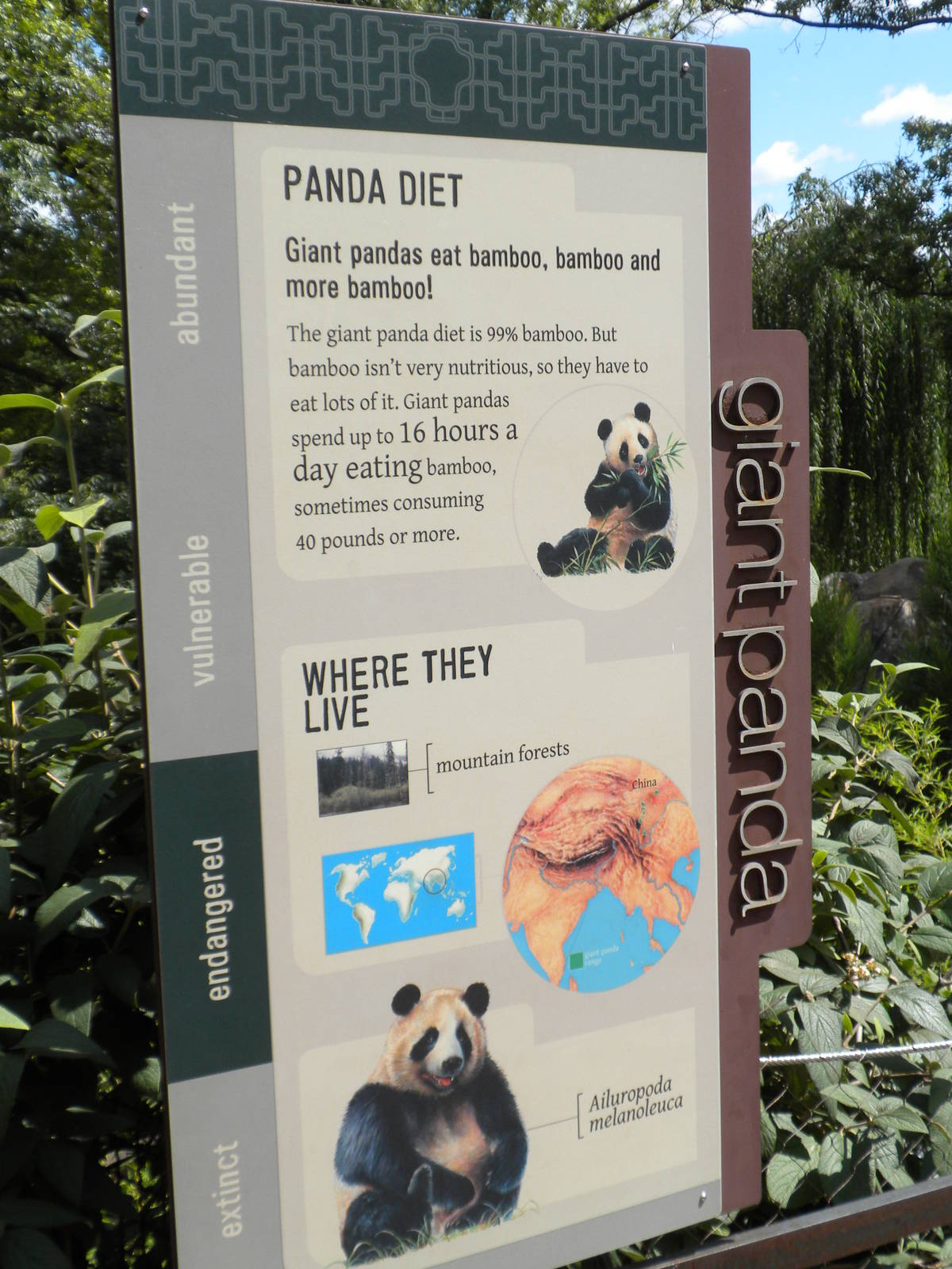 Giant Panda Exhibit  [Asia Trail]