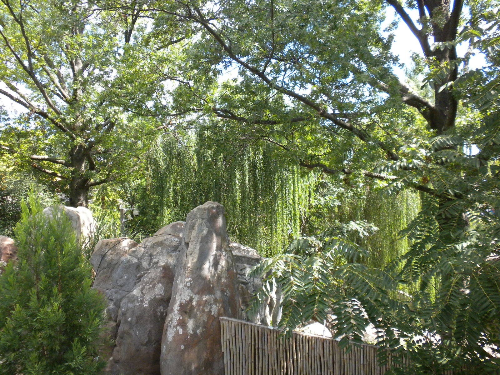 Giant Panda Exhibit  [Asia Trail]