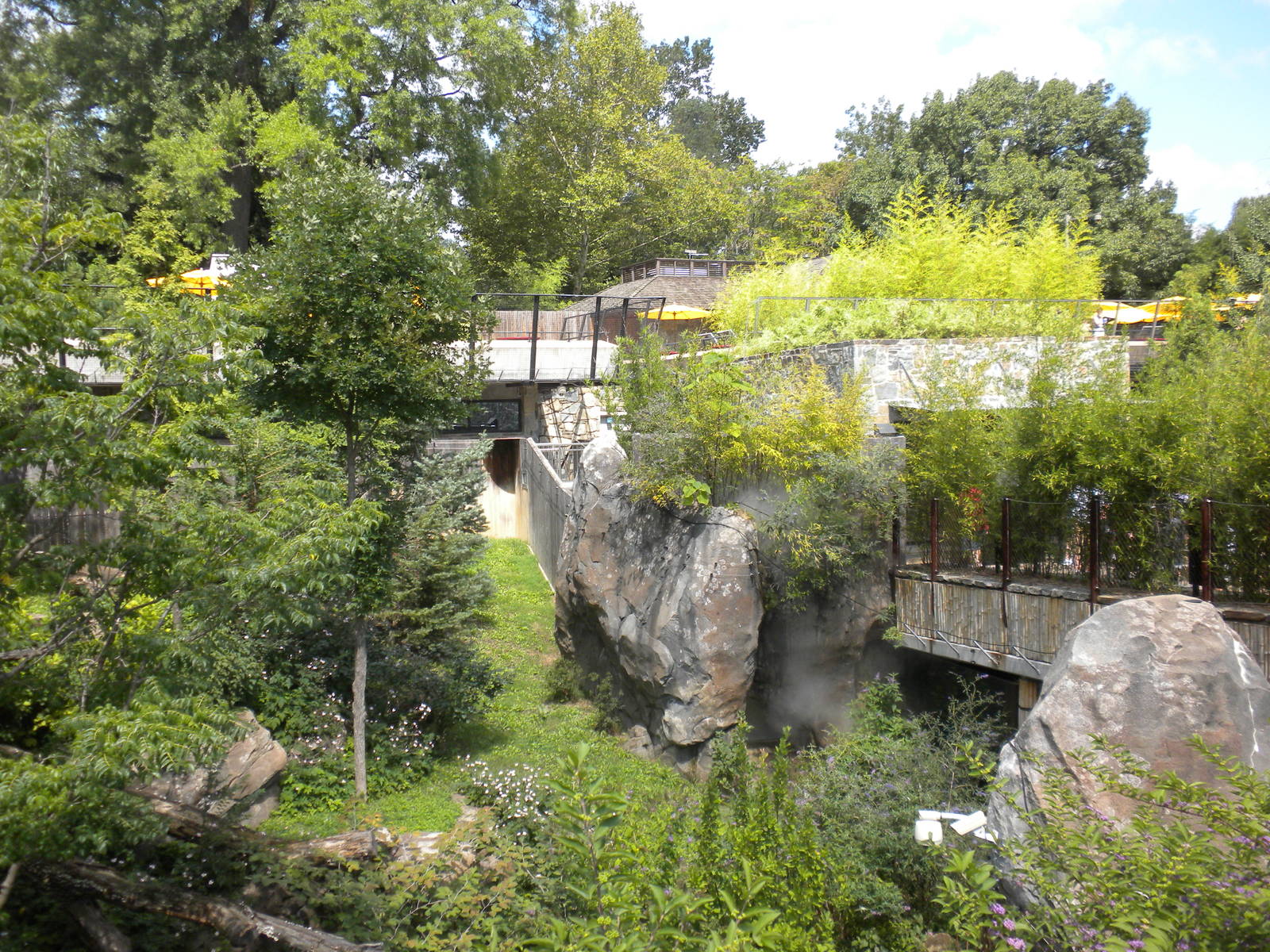 Giant Panda Exhibit  [Asia Trail]